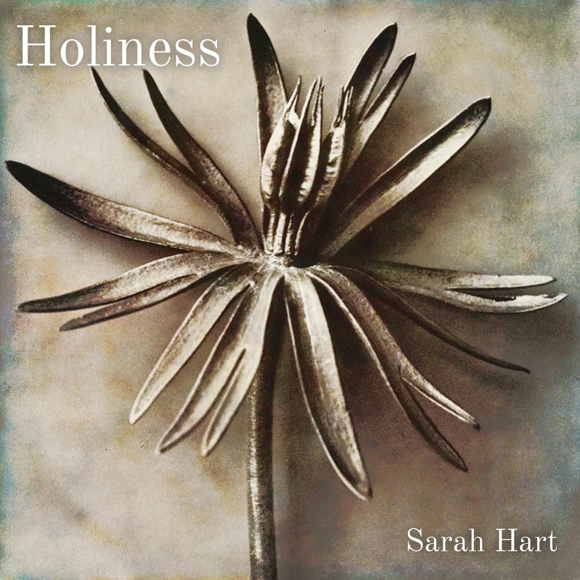 Постер альбома Holiness