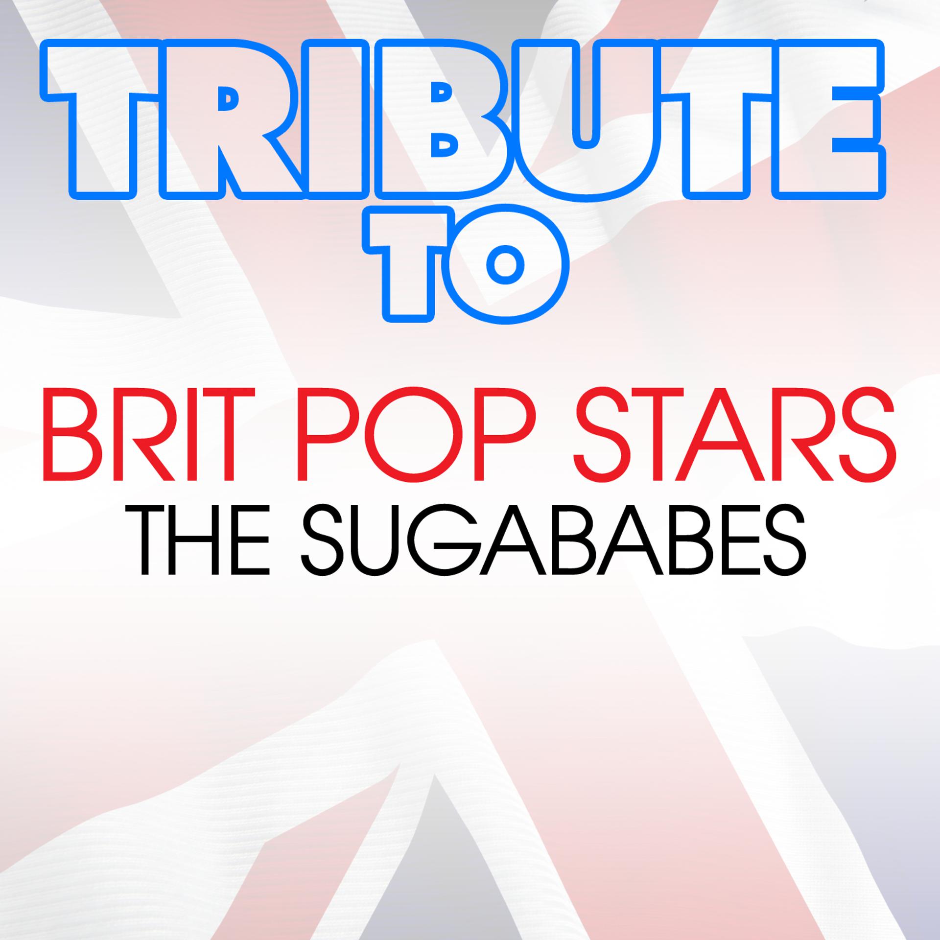 Постер альбома Tribute to Brit Pop Stars the Sugababes