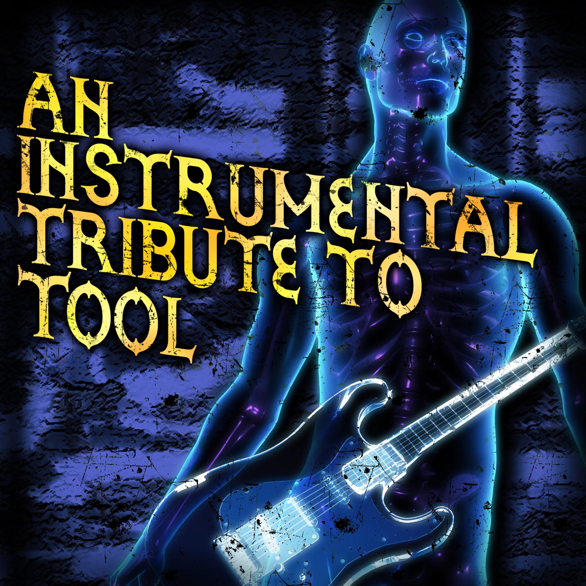 Постер альбома An Instrumental Tribute To Tool
