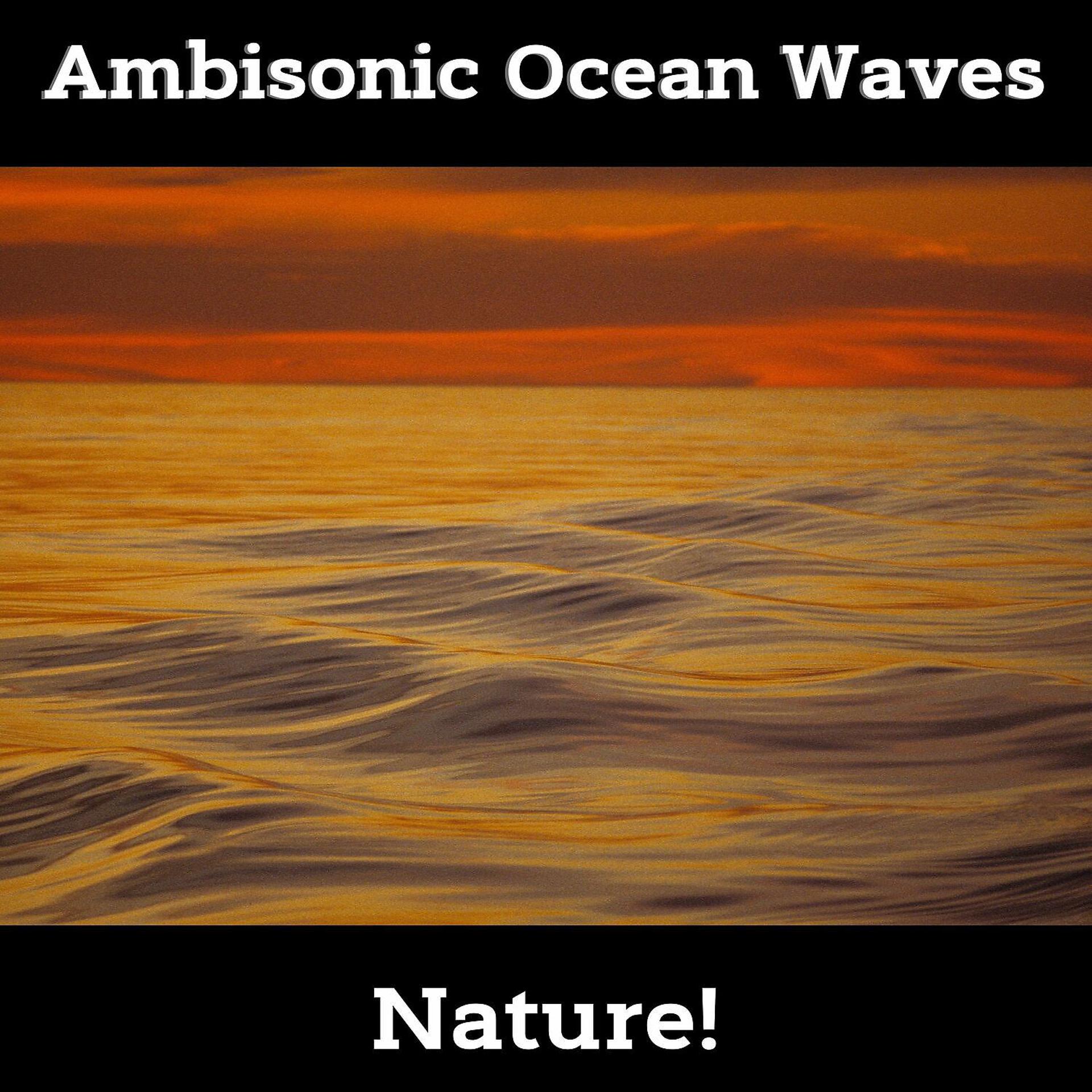 Постер альбома Ambisonic Ocean Waves