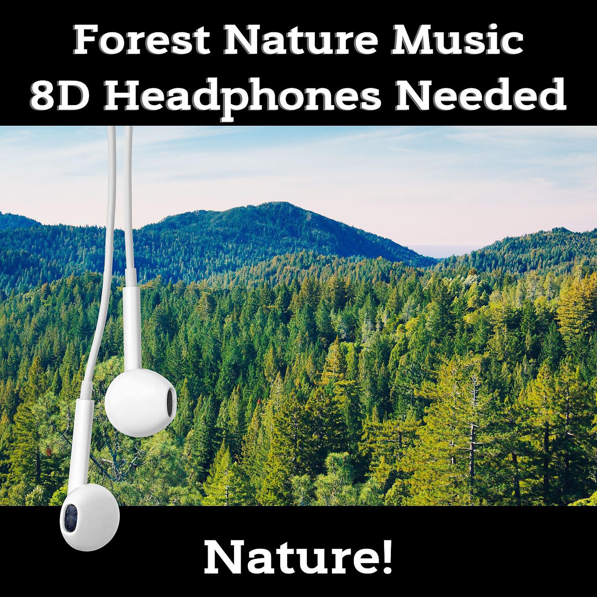 Постер альбома Forest Nature Music (8D Headphones Needed)