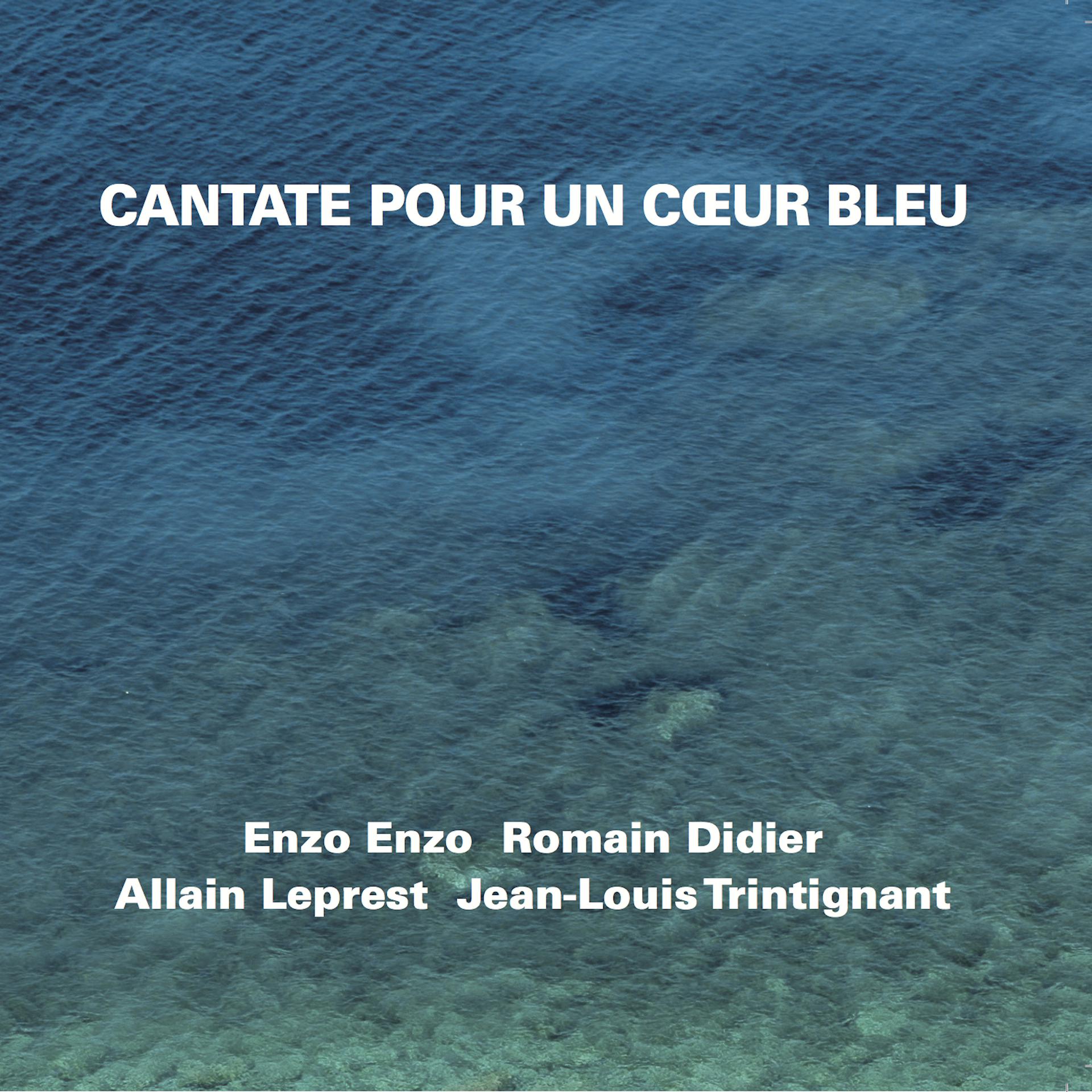 Постер альбома Cantate pour un cœur bleu