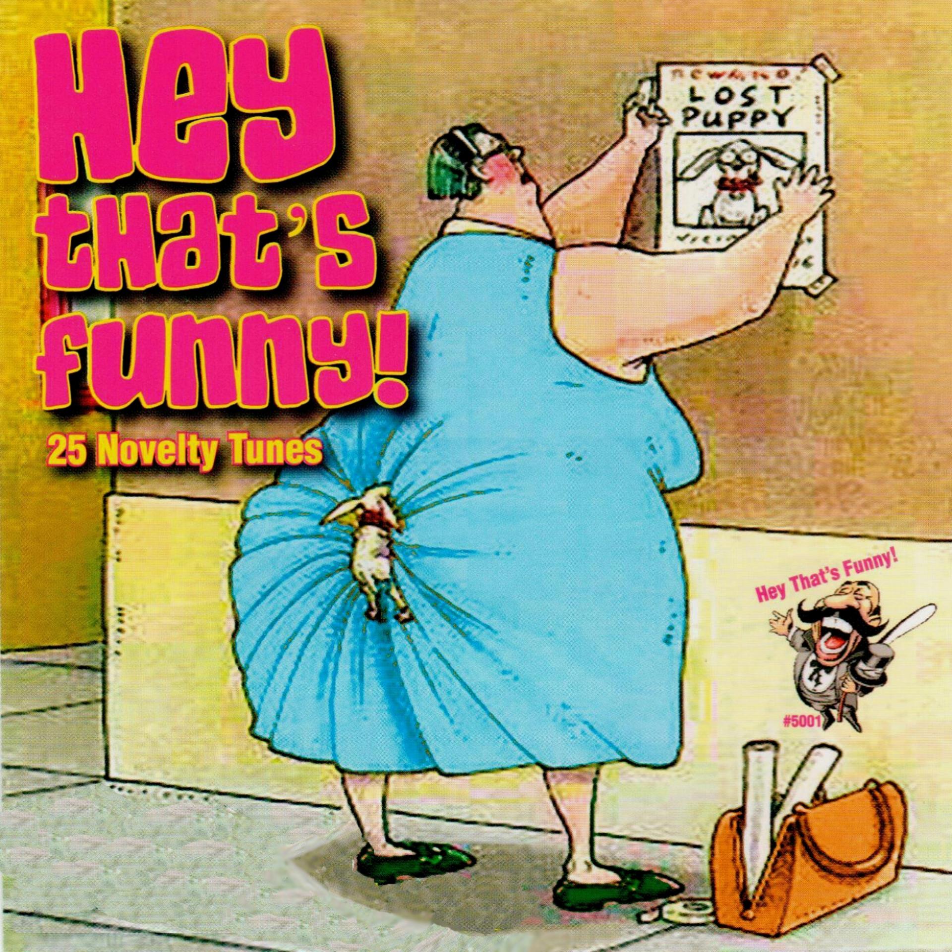 Постер альбома Hey That's Funny: 25 Novelty Tunes