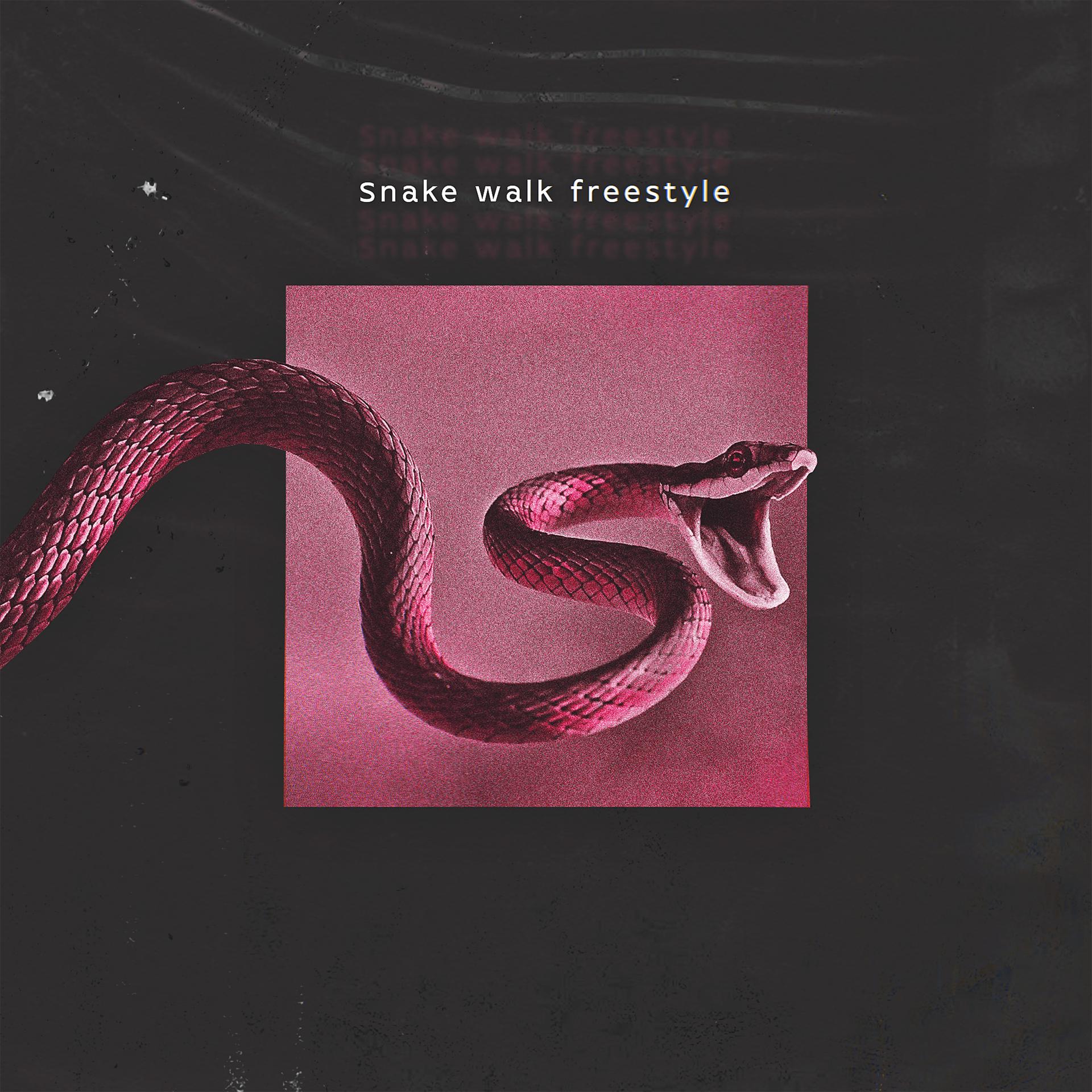 Постер альбома Snake Walk Freestyle