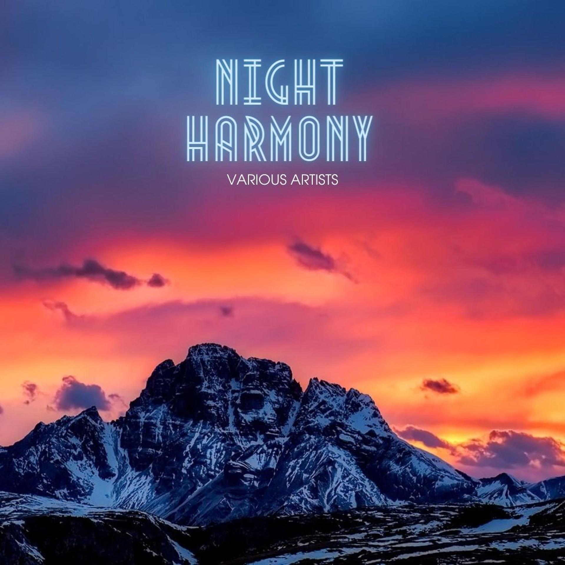 Постер альбома Night Harmony