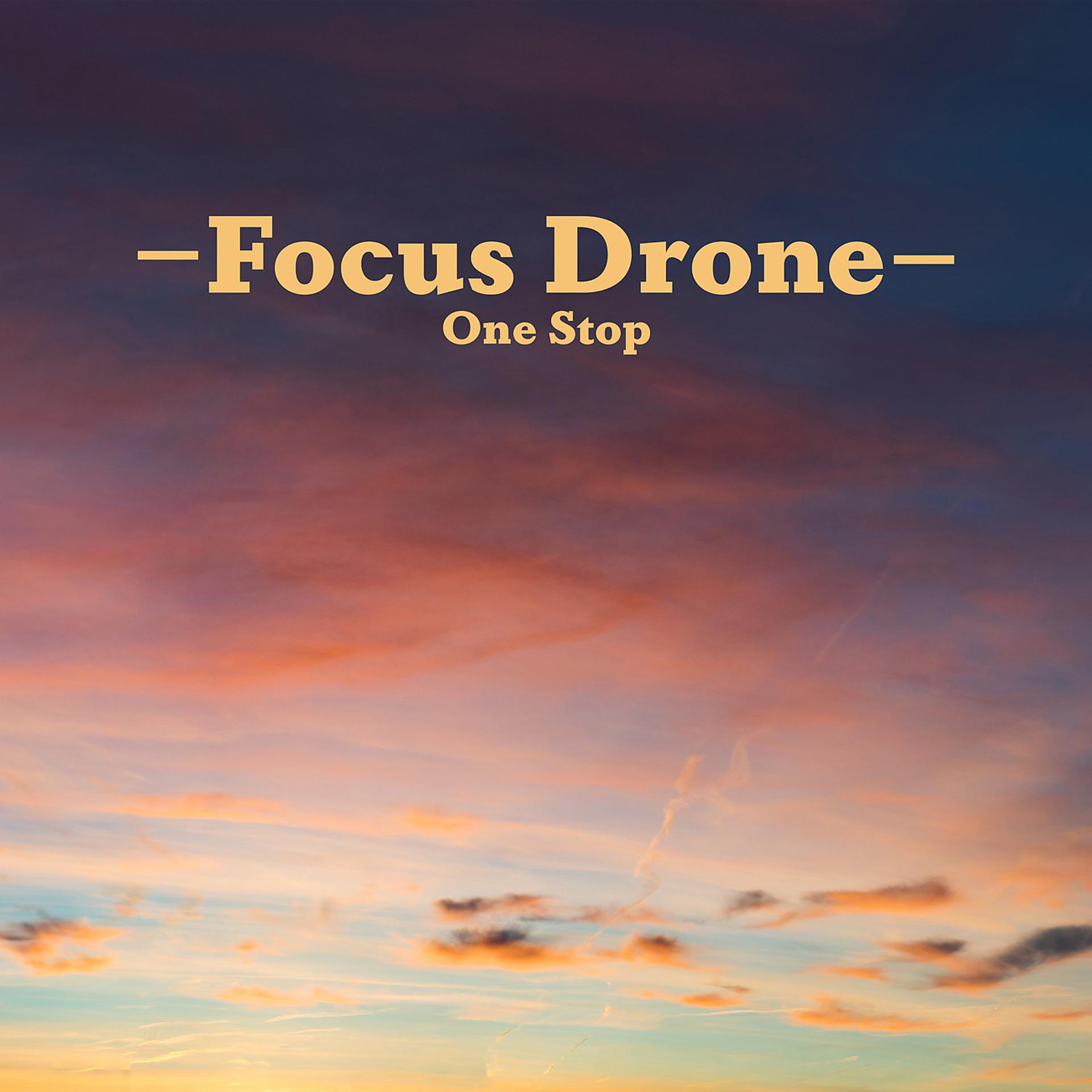 Постер альбома Focus Drone