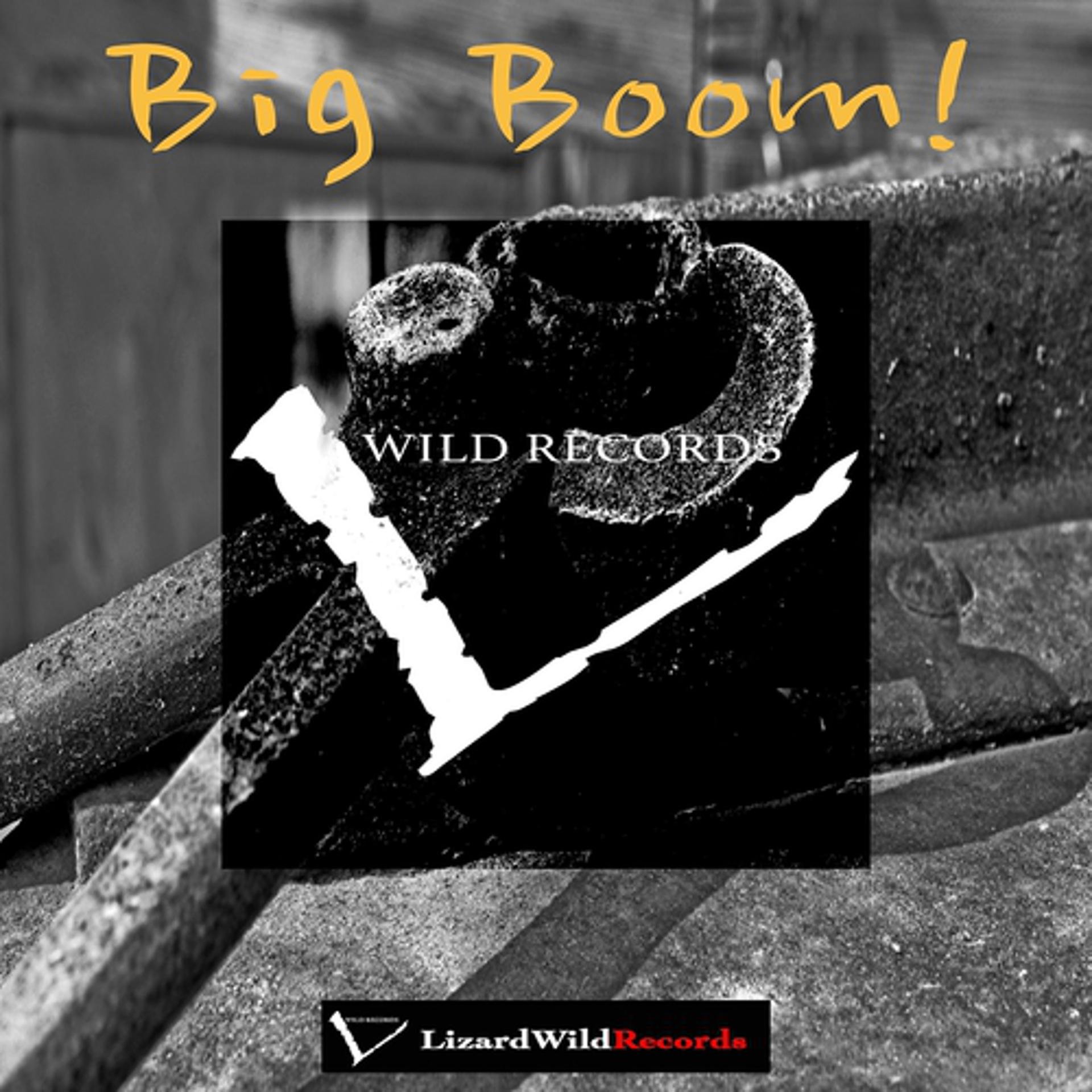 Постер альбома Big Boom!