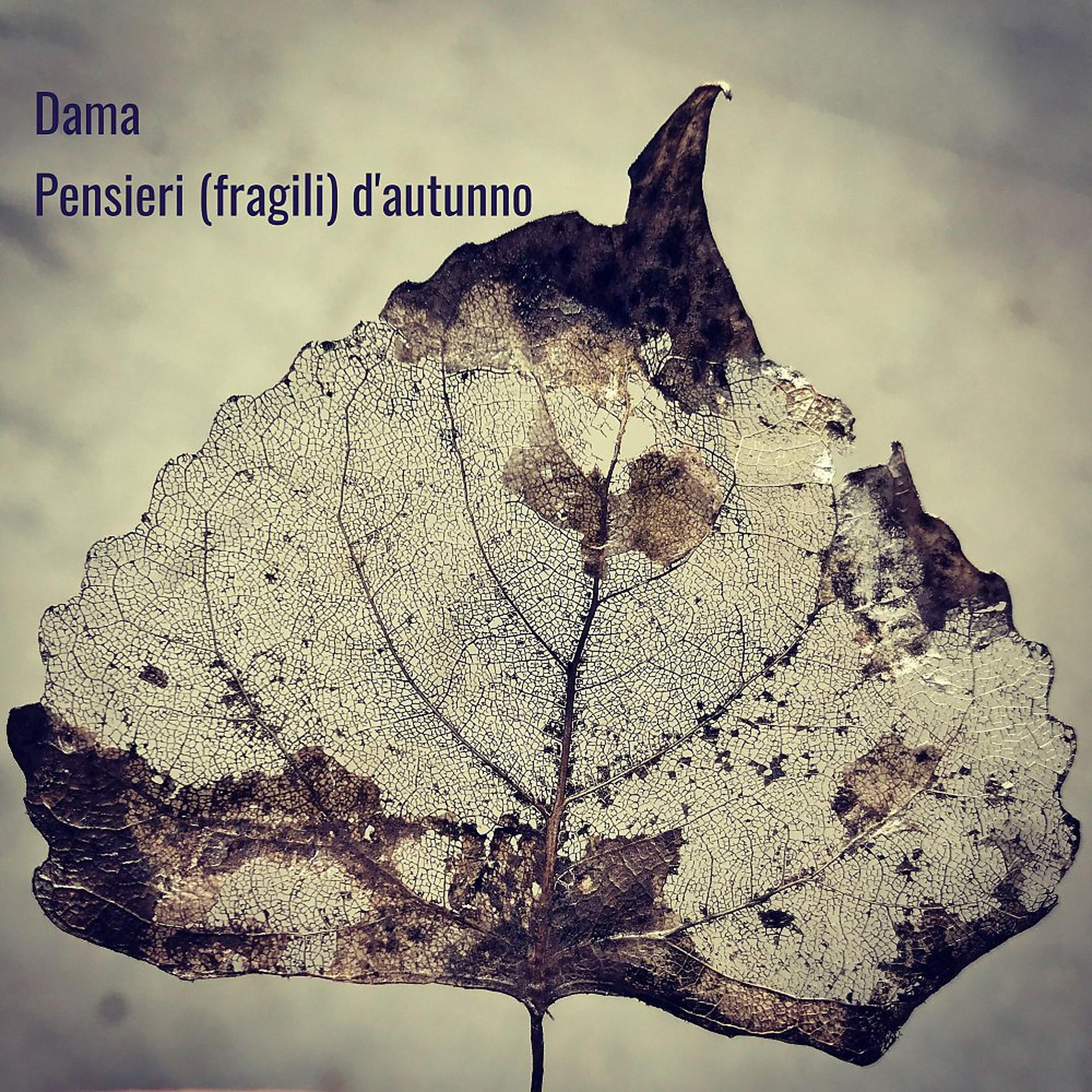 Постер альбома Pensieri (fragili) d'autunno