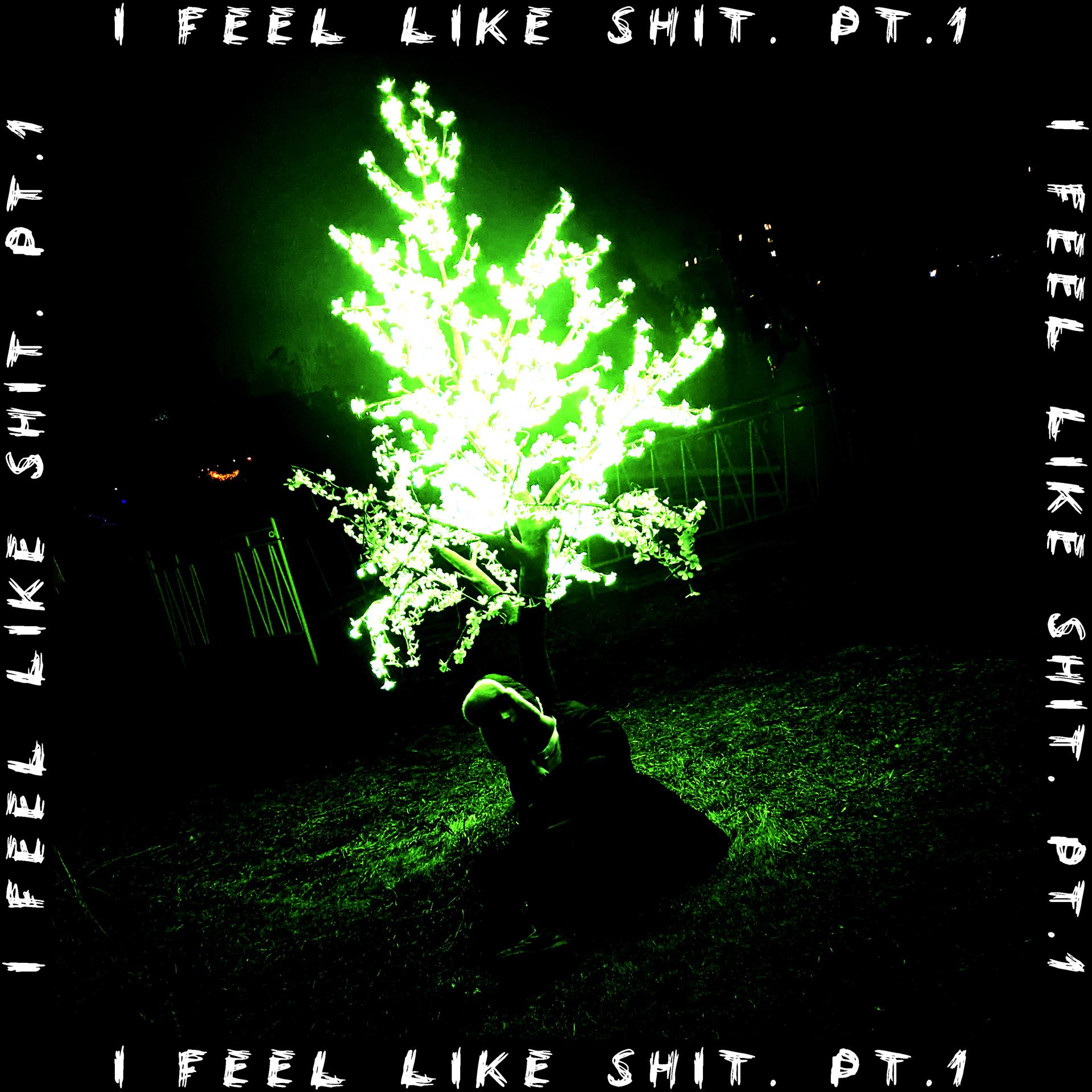Постер альбома I Feel Like Shit, Pt.1