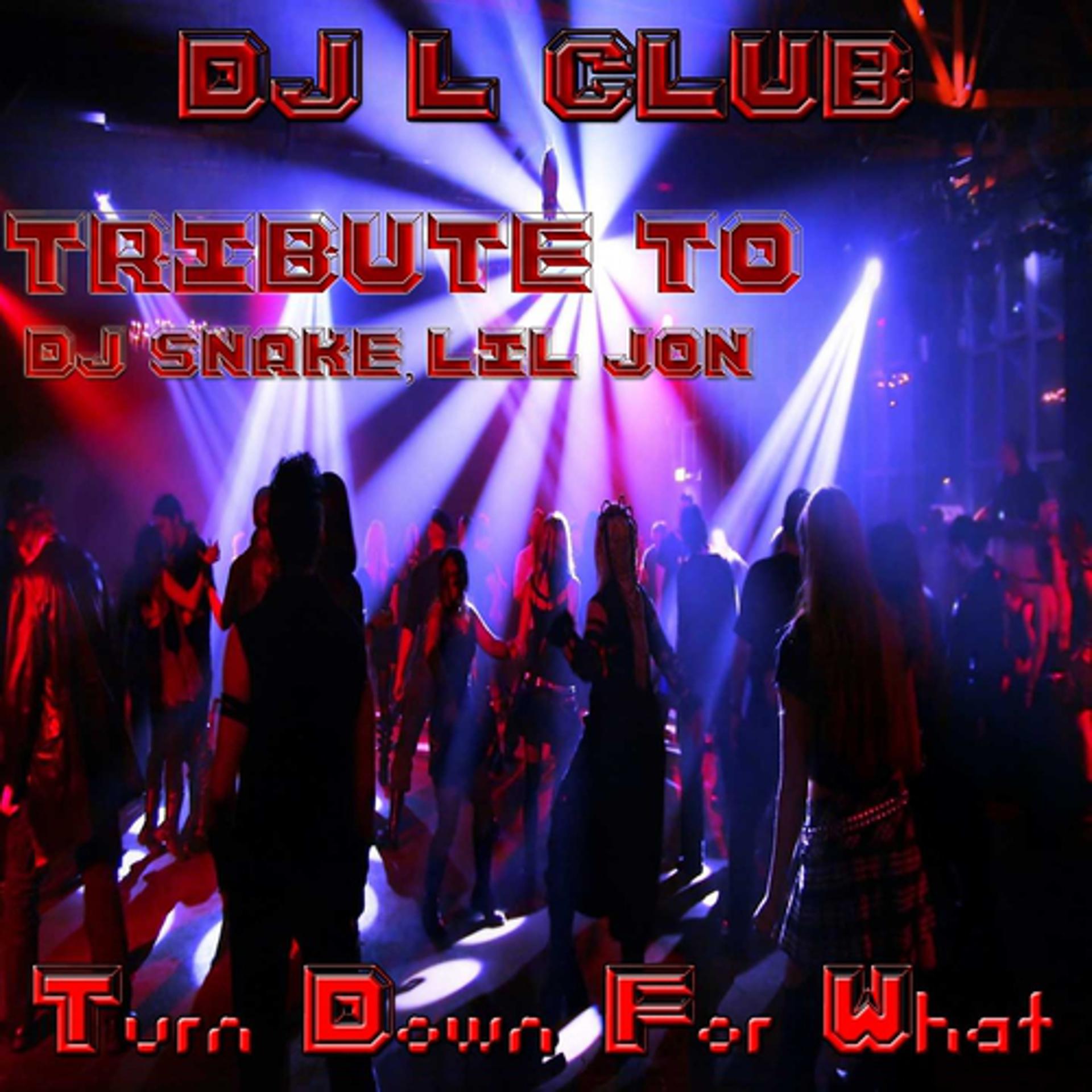 Постер альбома Turn Down for What: Tribute to DJ Snake & Lil Jon