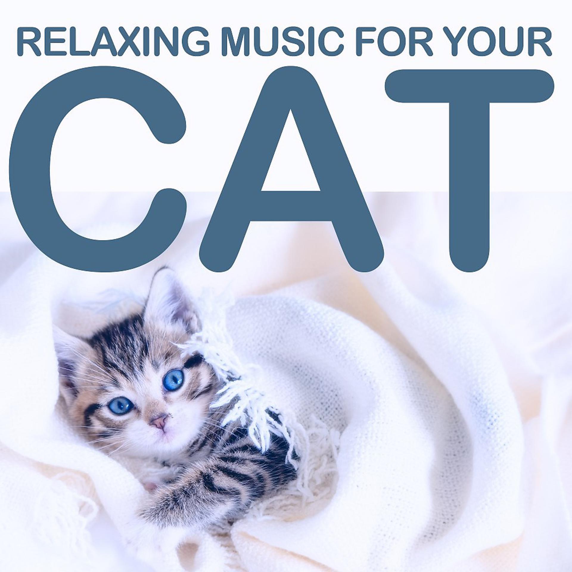 Постер альбома Relaxing Music for Your Cat