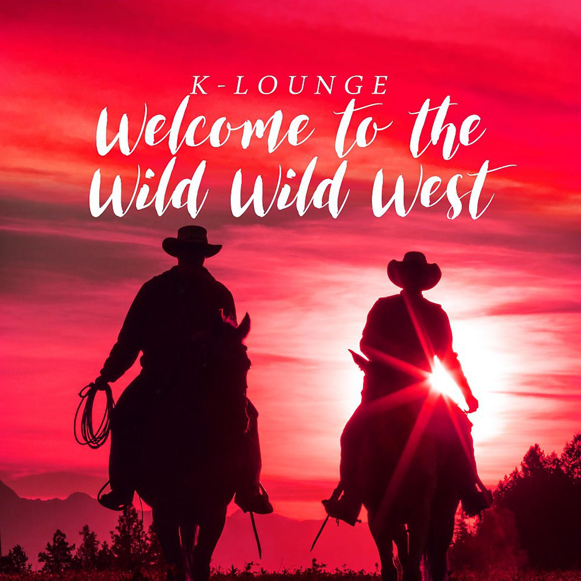 Постер альбома Welcome to the Wild Wild West