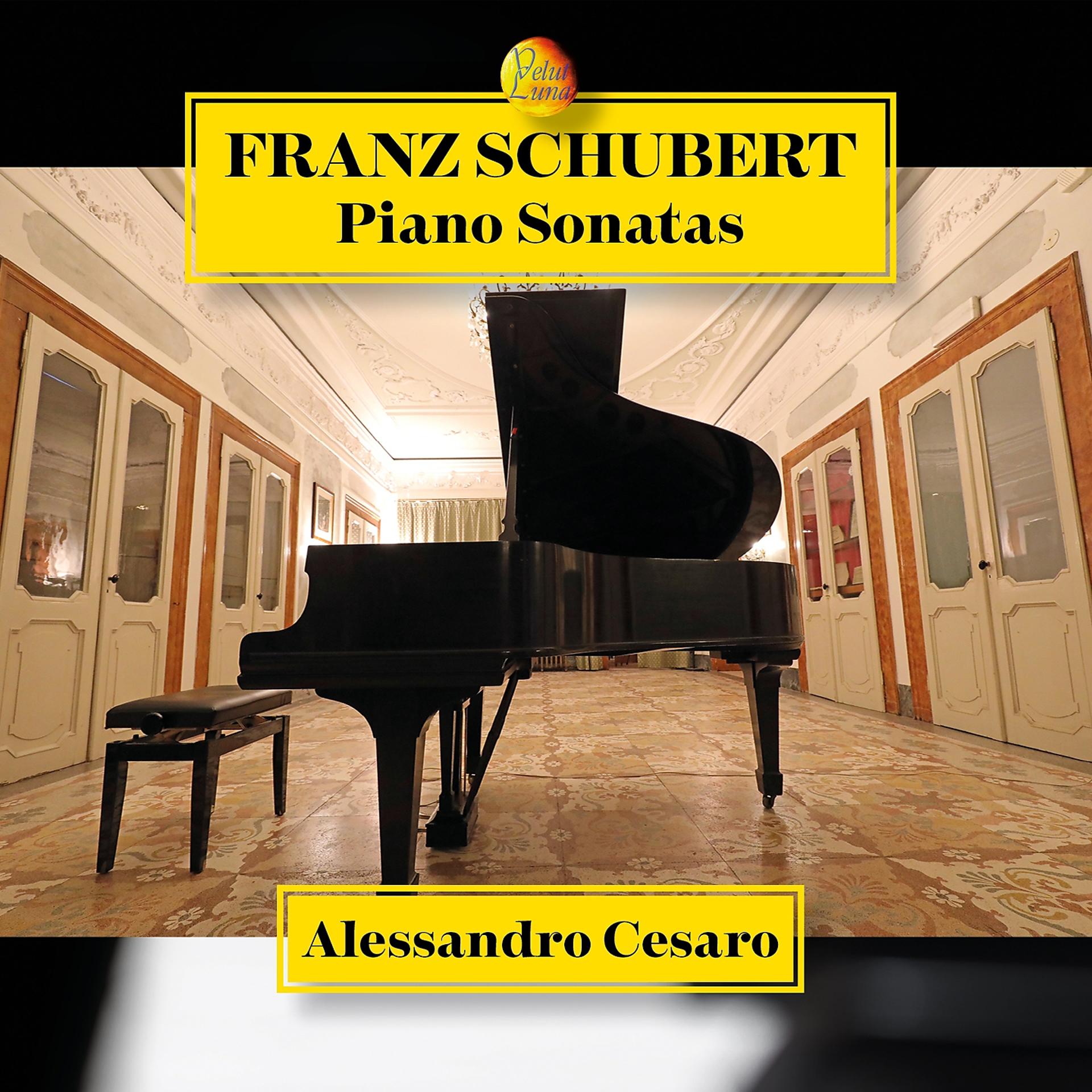 Постер альбома Franz Schubert Piano Sonatas