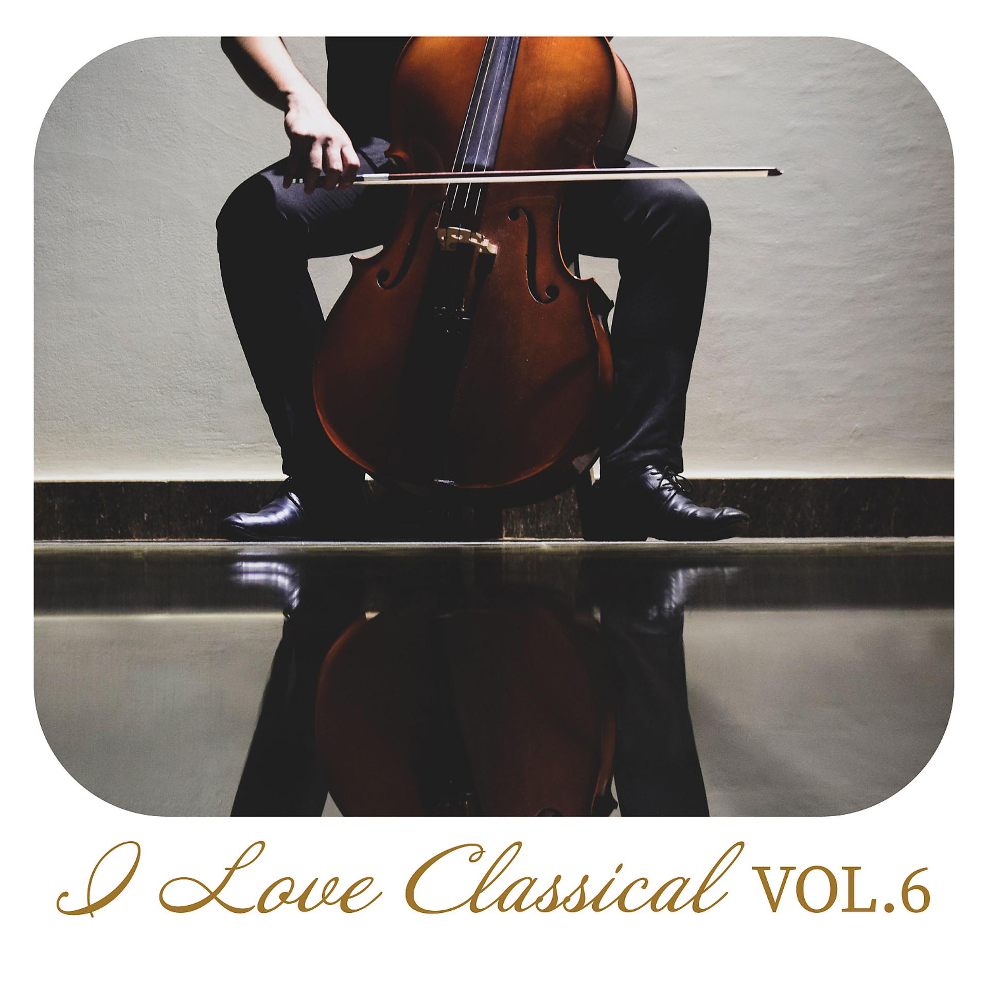 Постер альбома I Love Classical, Vol. 6