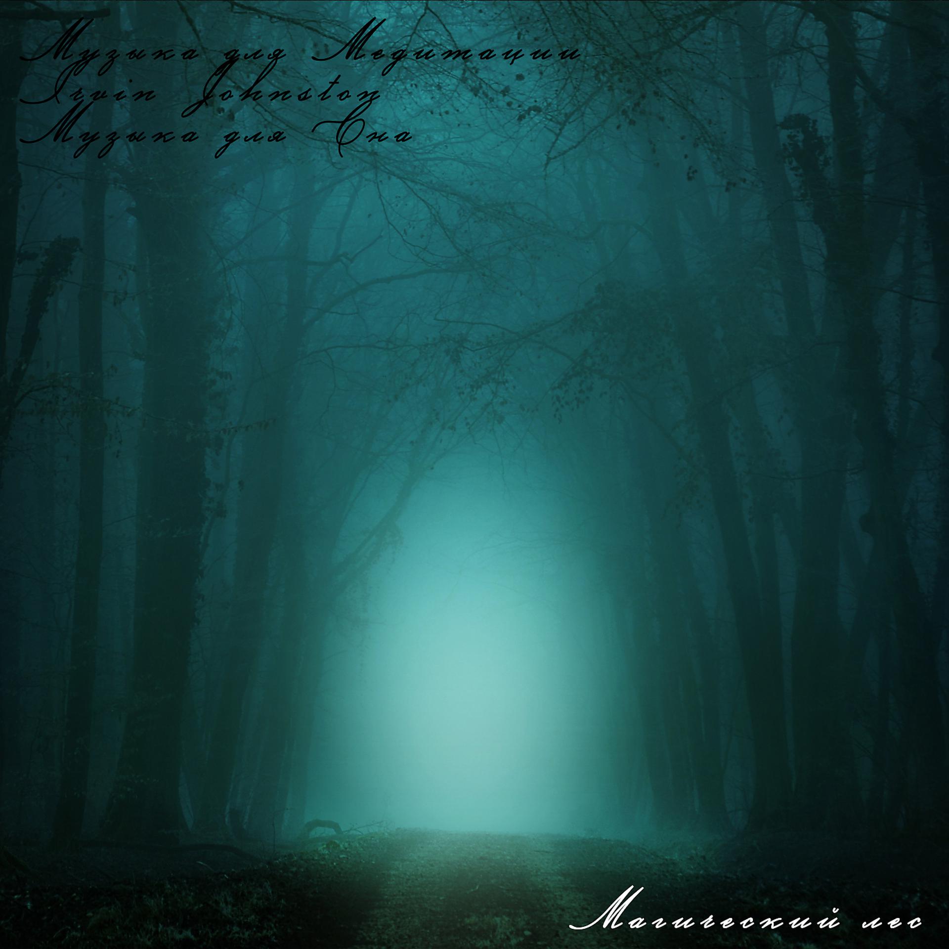 Постер альбома Магический лес
