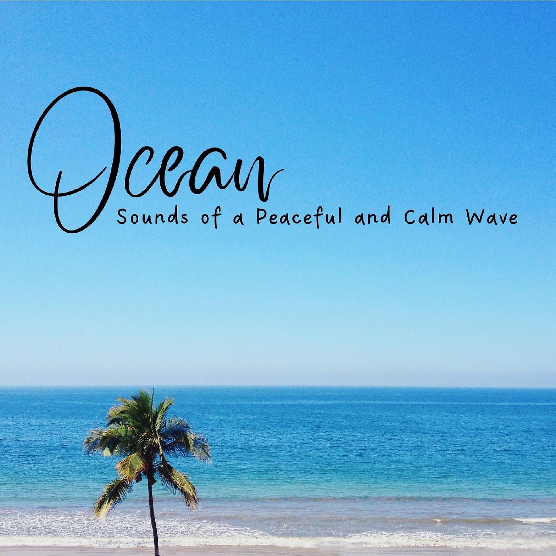 Постер альбома Ocean: Sounds of a Peaceful and Calm Wave