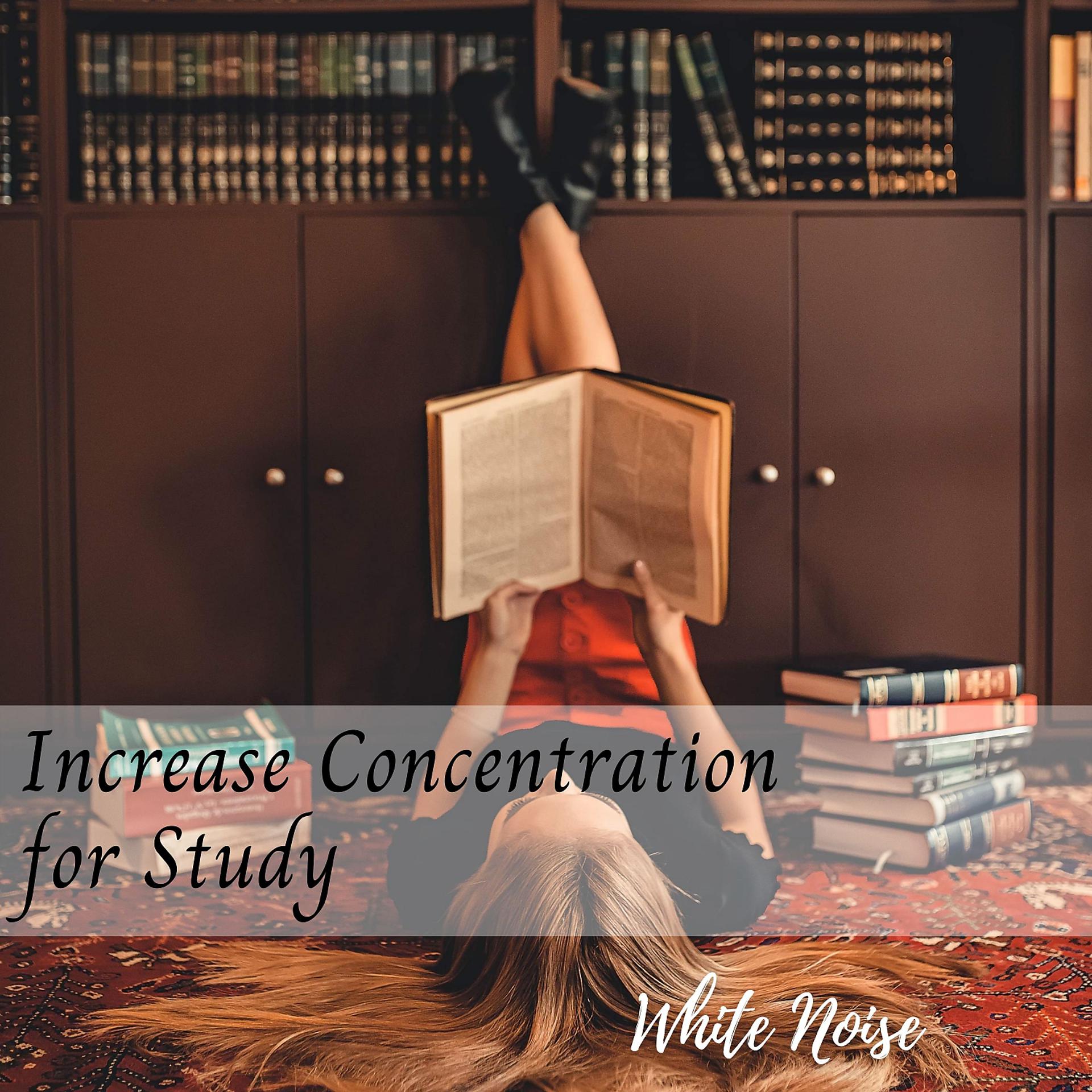 Постер альбома White Noise: Increase Concentration for Study