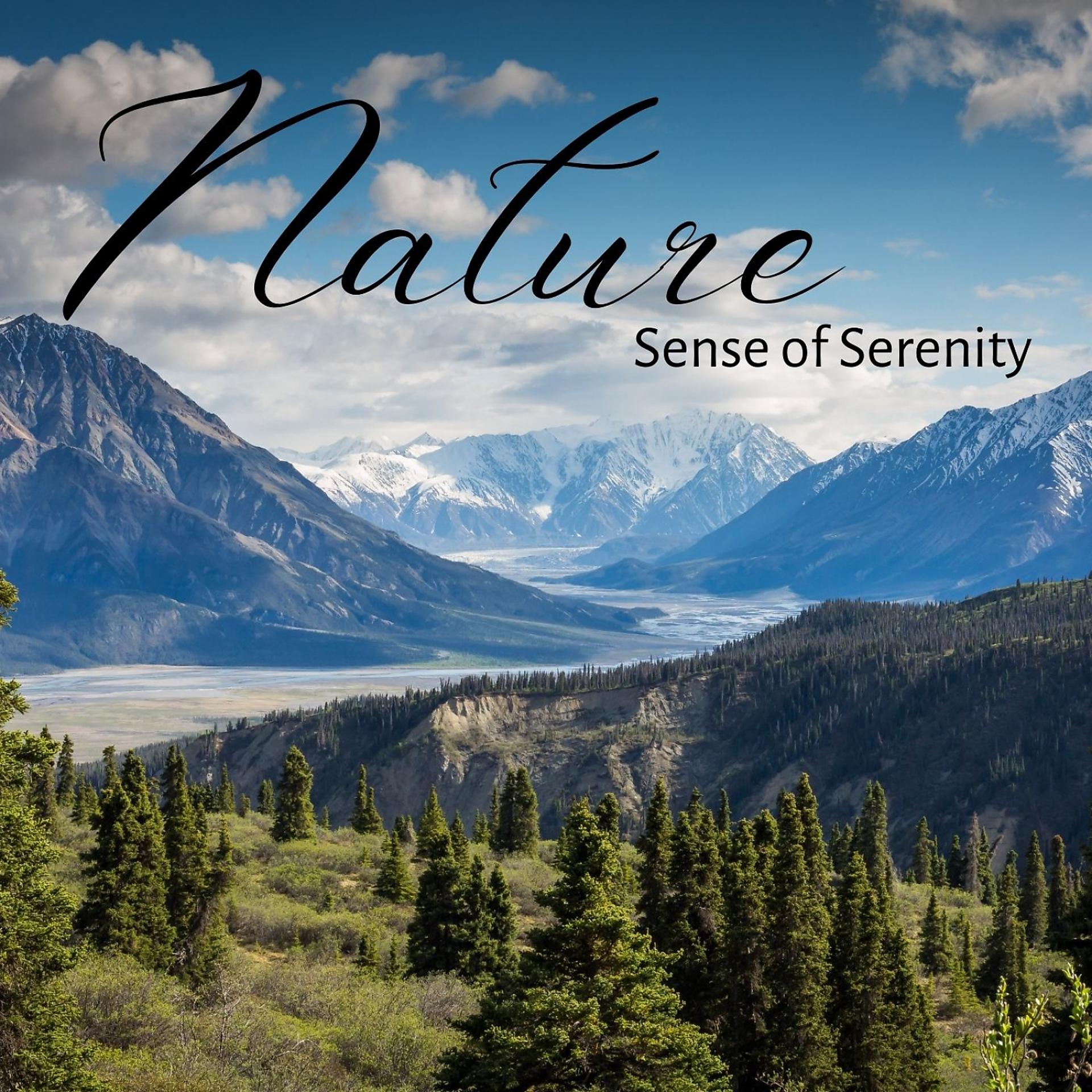 Постер альбома Nature: Sense of Serenity