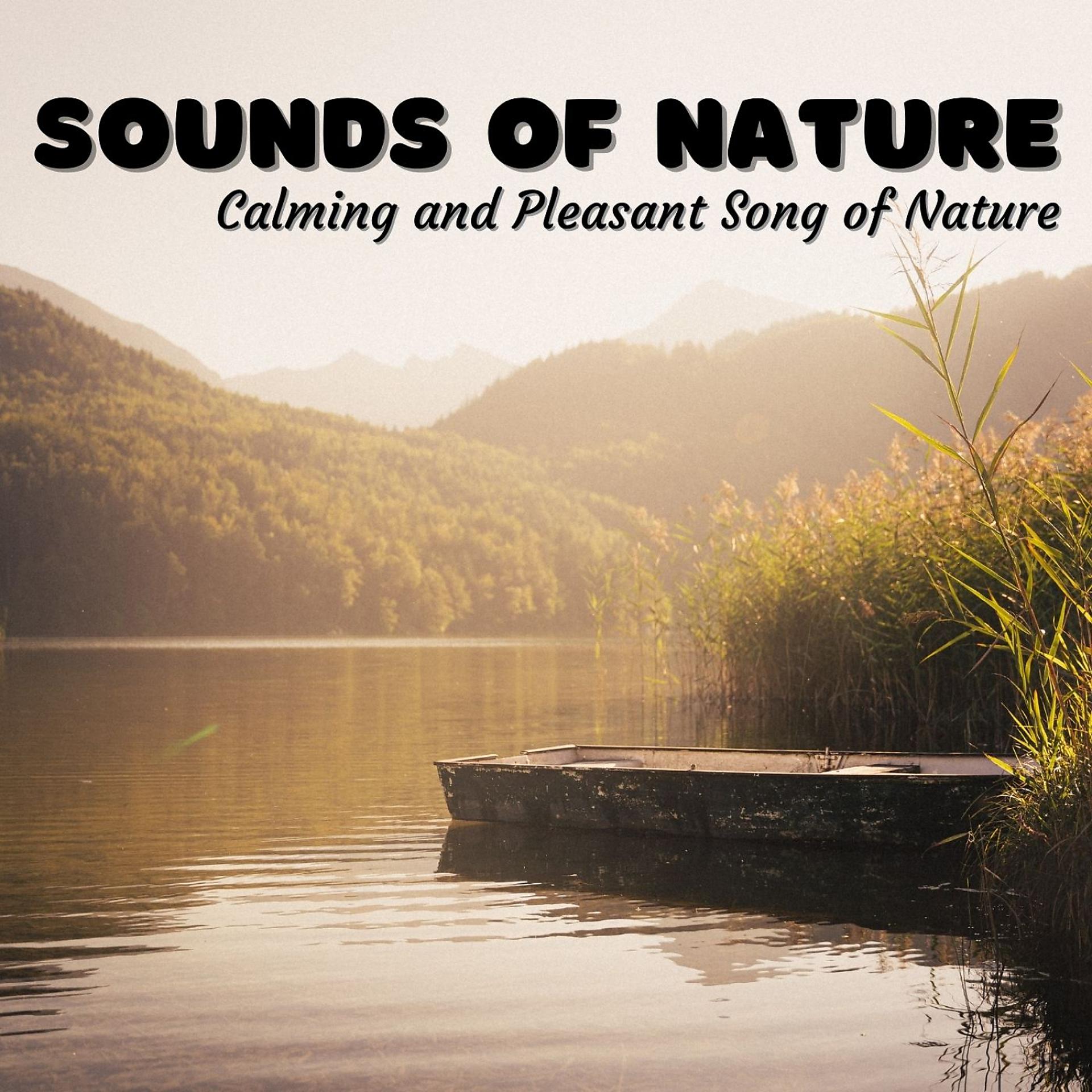 Постер альбома Sounds of Nature: Calming and Pleasant Song of Nature