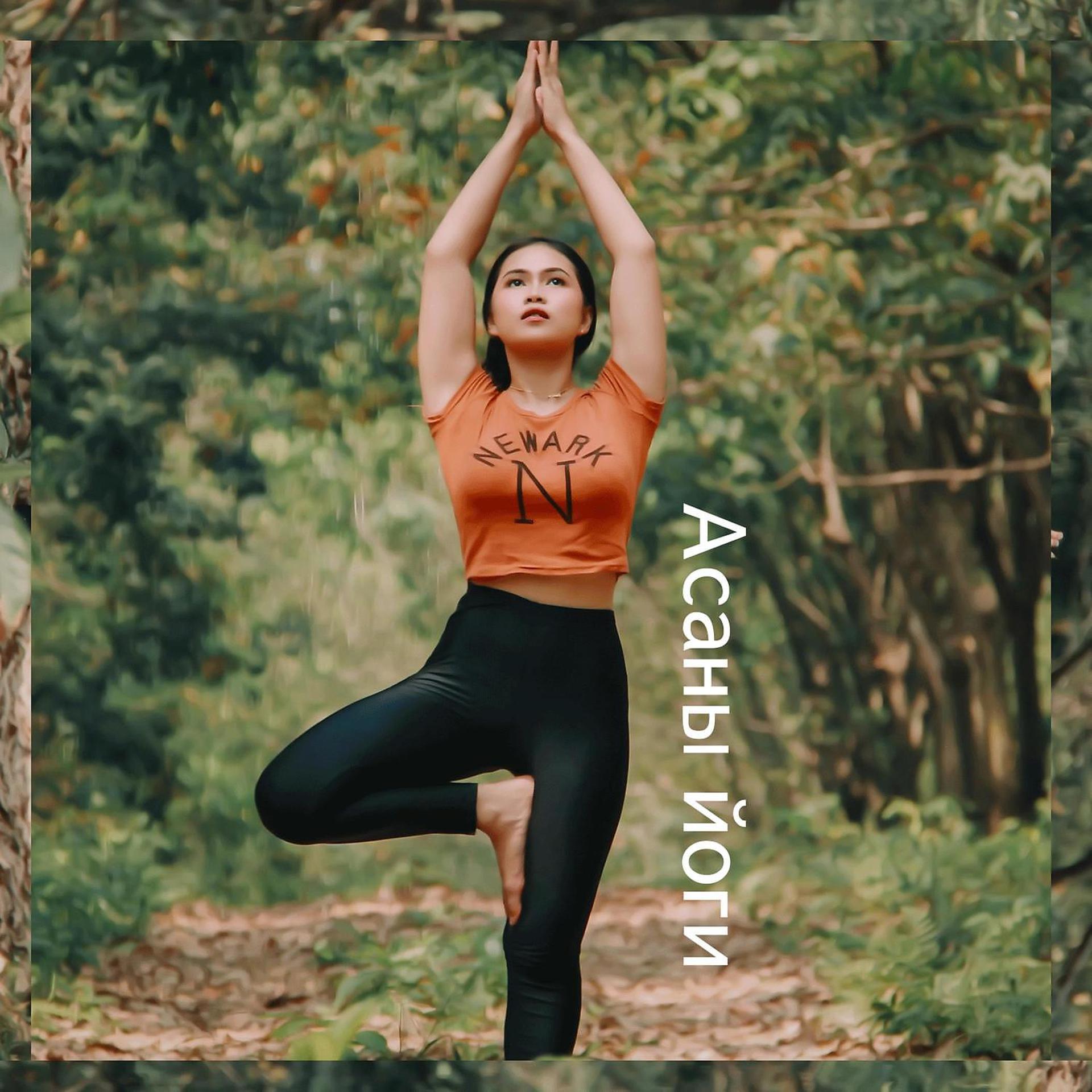 Постер альбома Асаны йоги - Звуки природы, Релаксирующая музыка, Медитация, Исцеляющая музыка, Снижение стресса