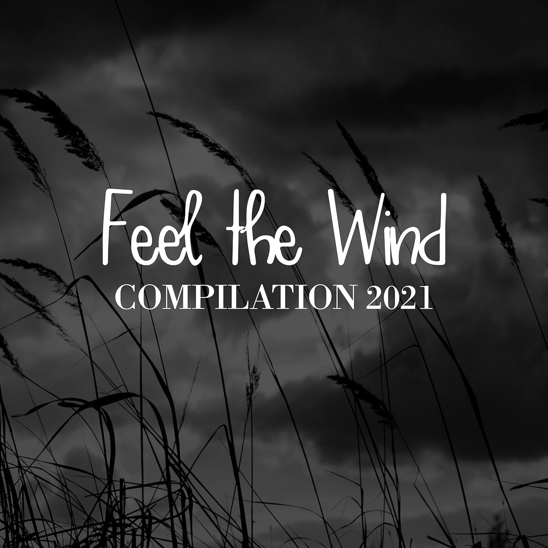 Постер альбома FEEL THE WIND COMPILATION 2021