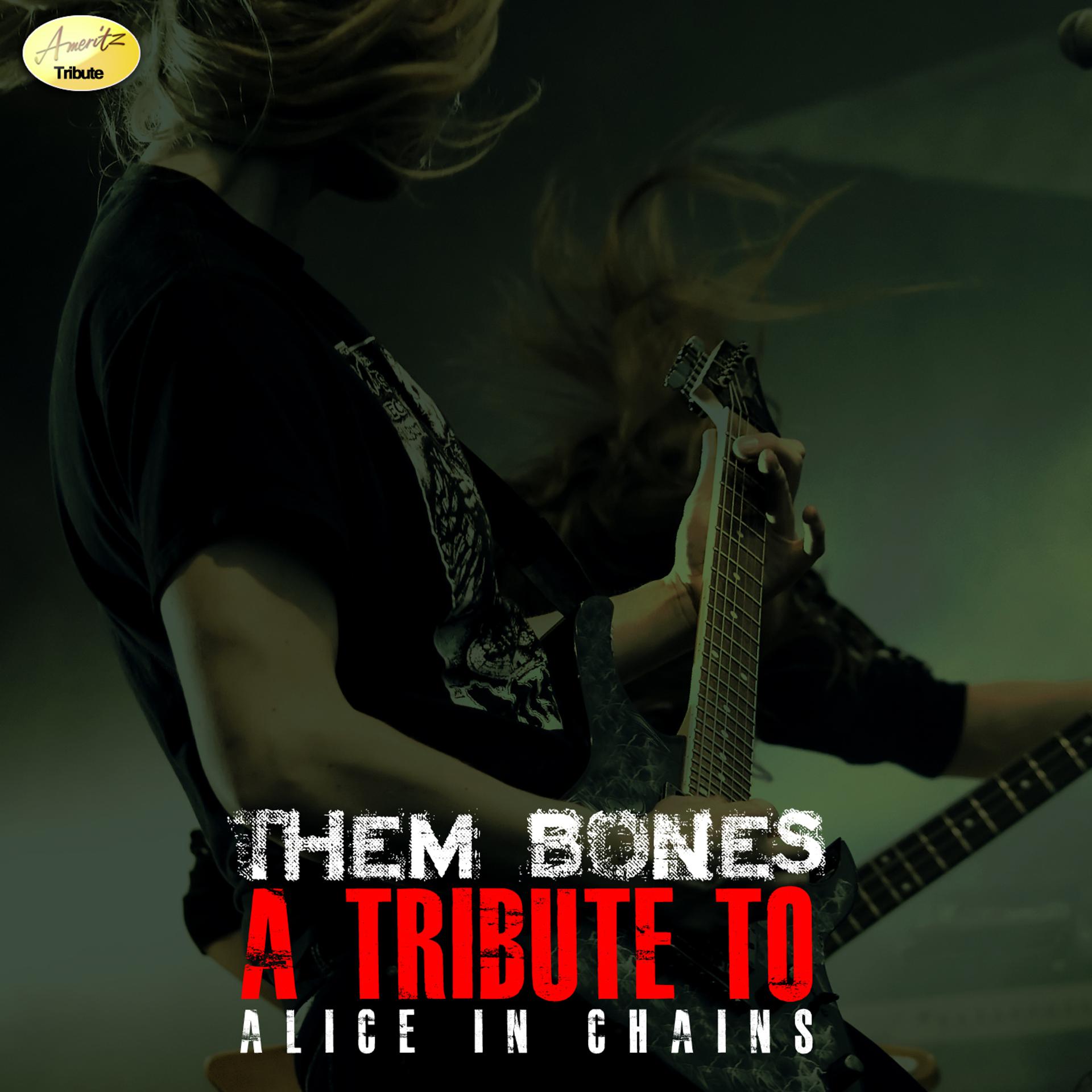 Постер альбома Them Bones (In the Style of Alice in Chains)