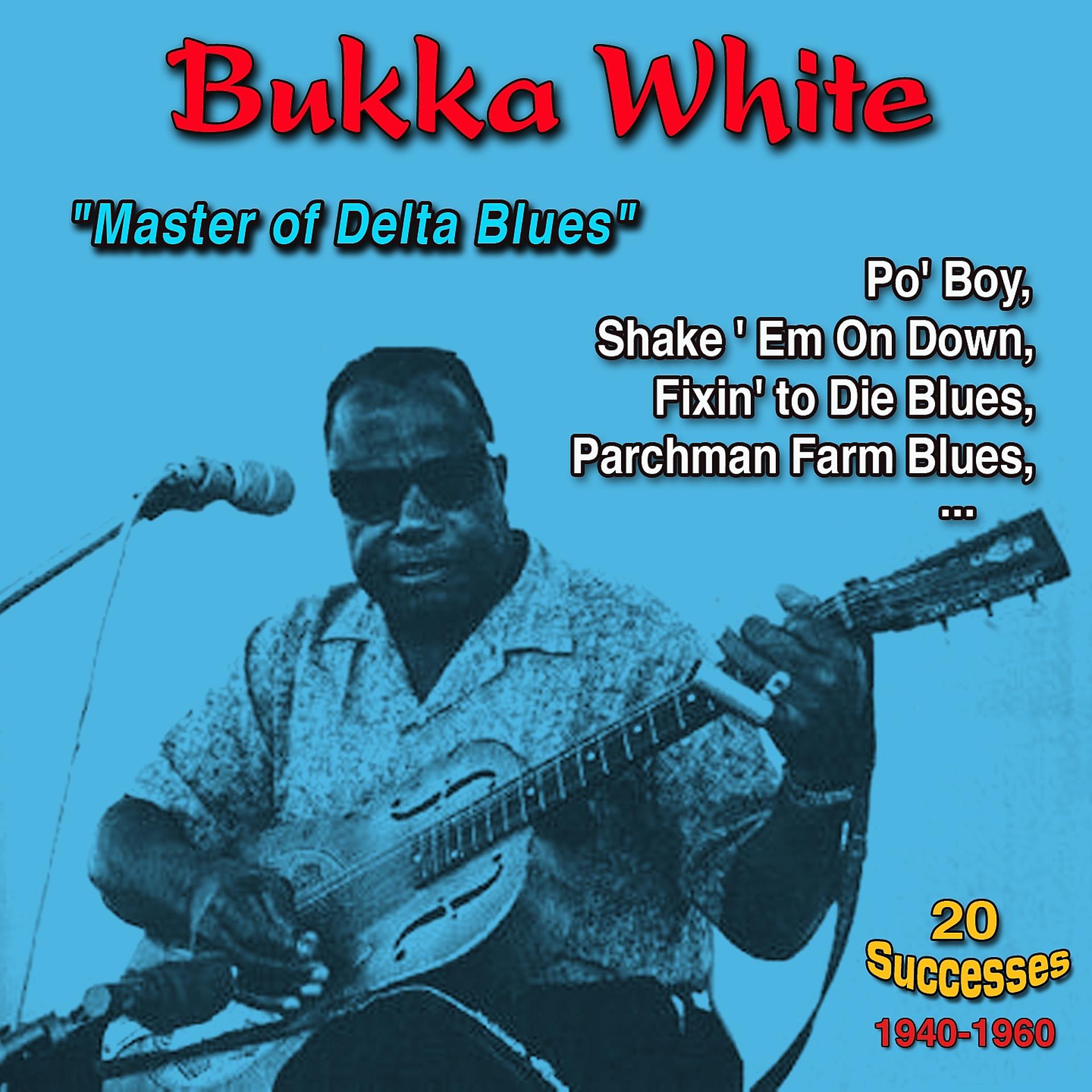 Постер альбома Bukka White: "Master of Delta Blues" - Shake 'Em On Down