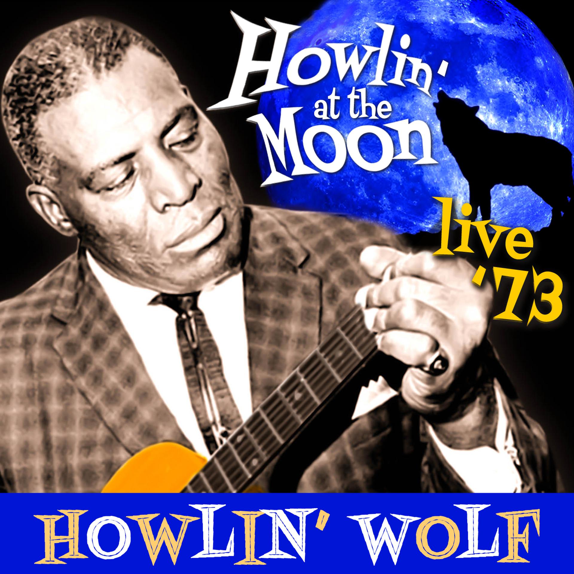 Постер альбома Howlin' At the Moon - Live '73
