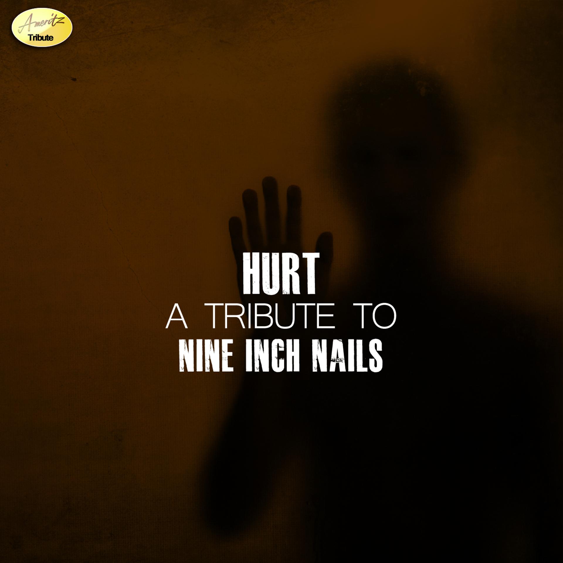 Постер альбома Hurt (A Tribute to Nine Inch Nails)