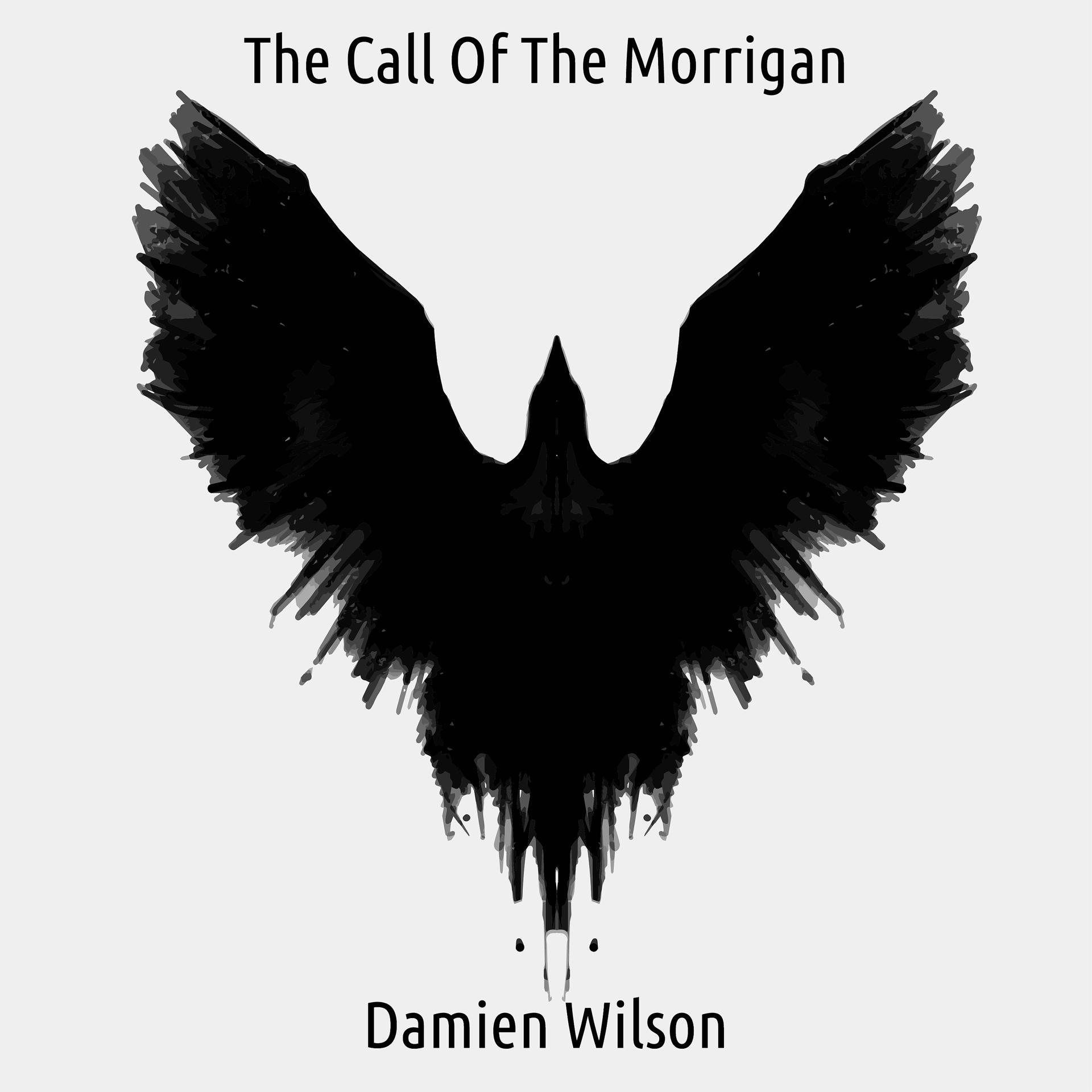 Постер альбома The Call Of The Morrigan