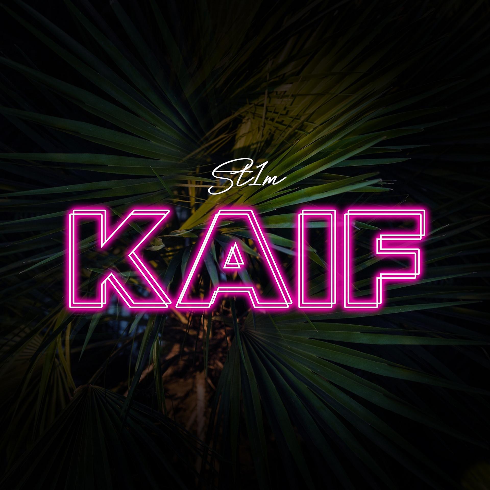 Постер альбома Kaif