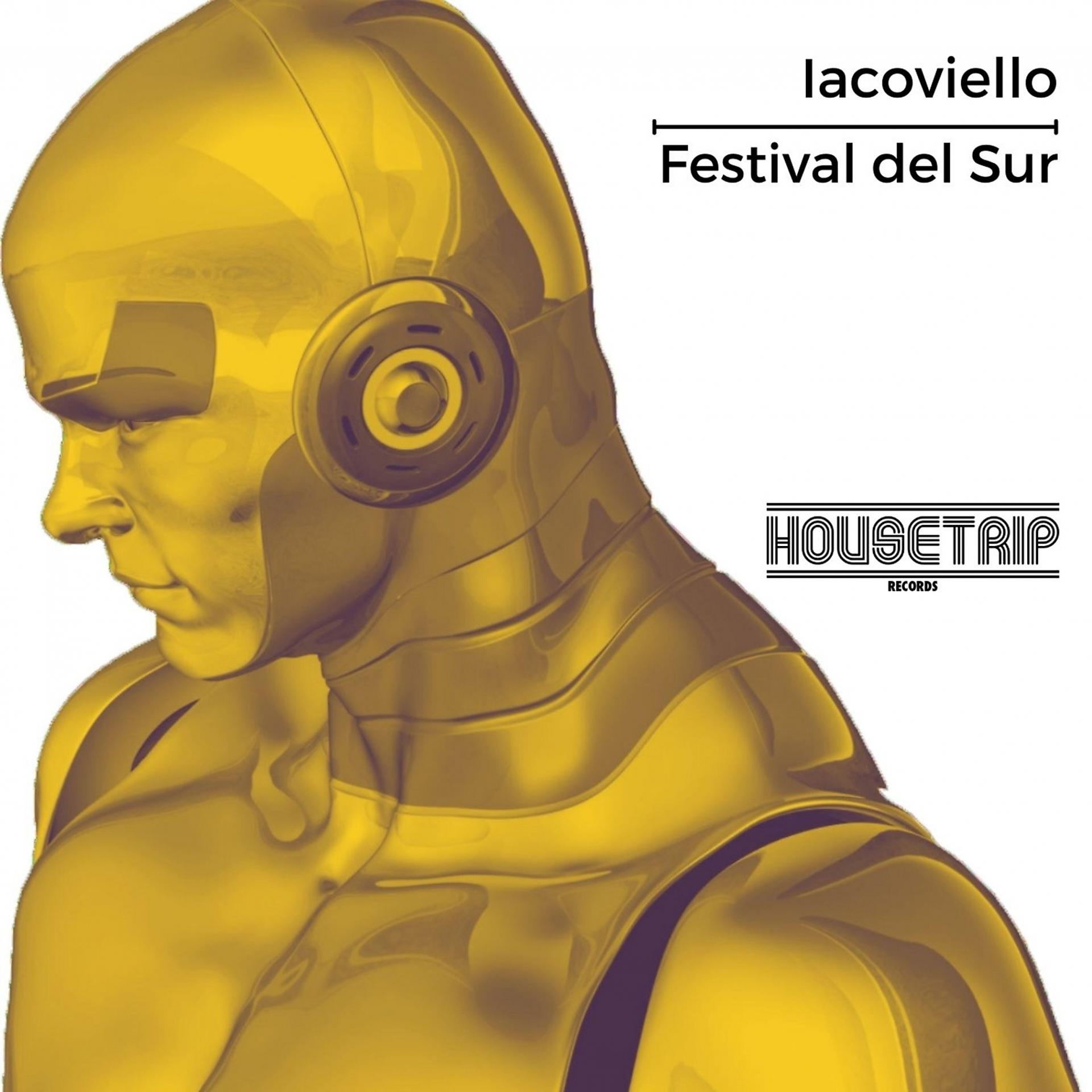 Постер альбома Festival Del Sur