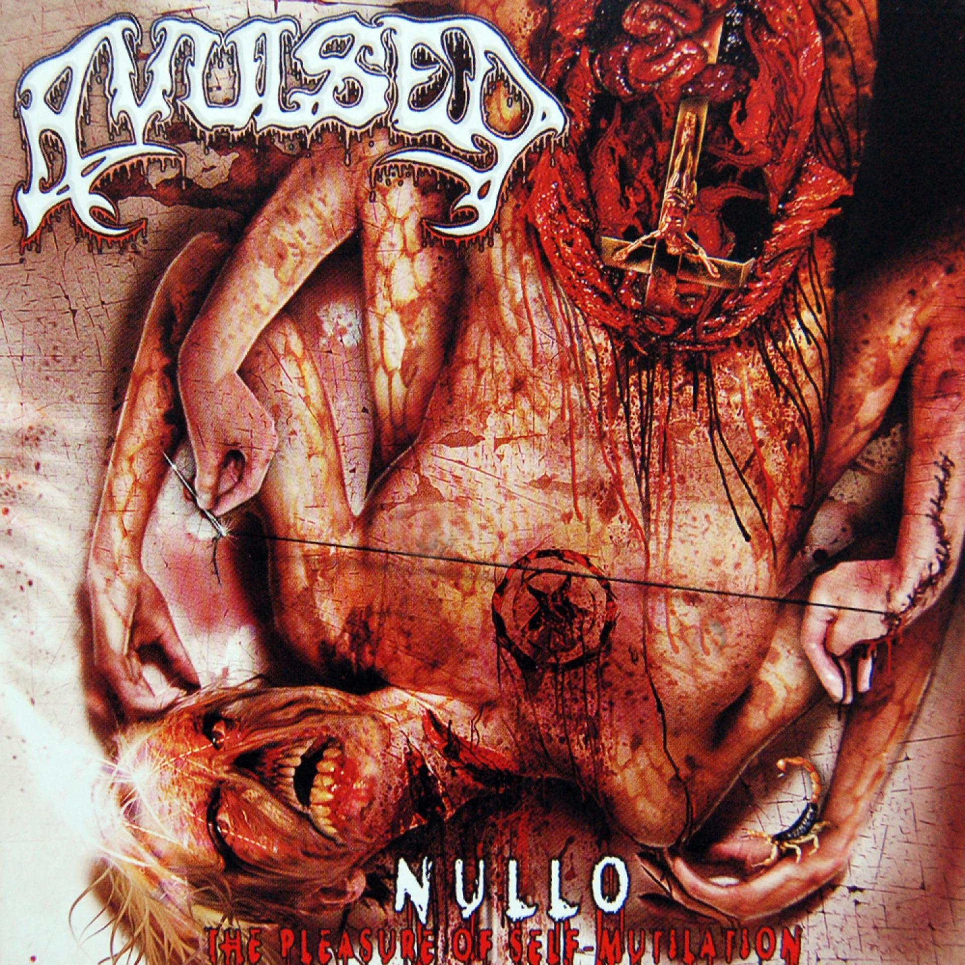 Постер альбома Nullo - The Pleasure of Self-Mutilation