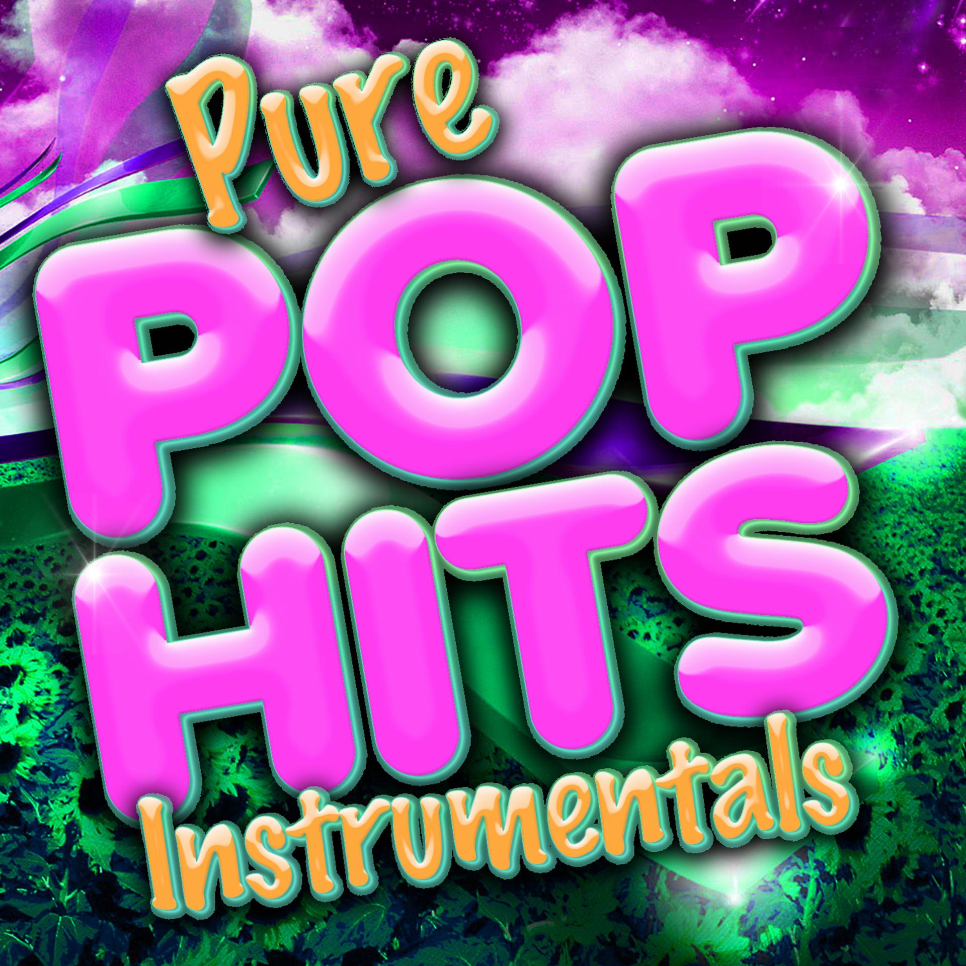 Постер альбома Pure Pop Hits Instrumentals
