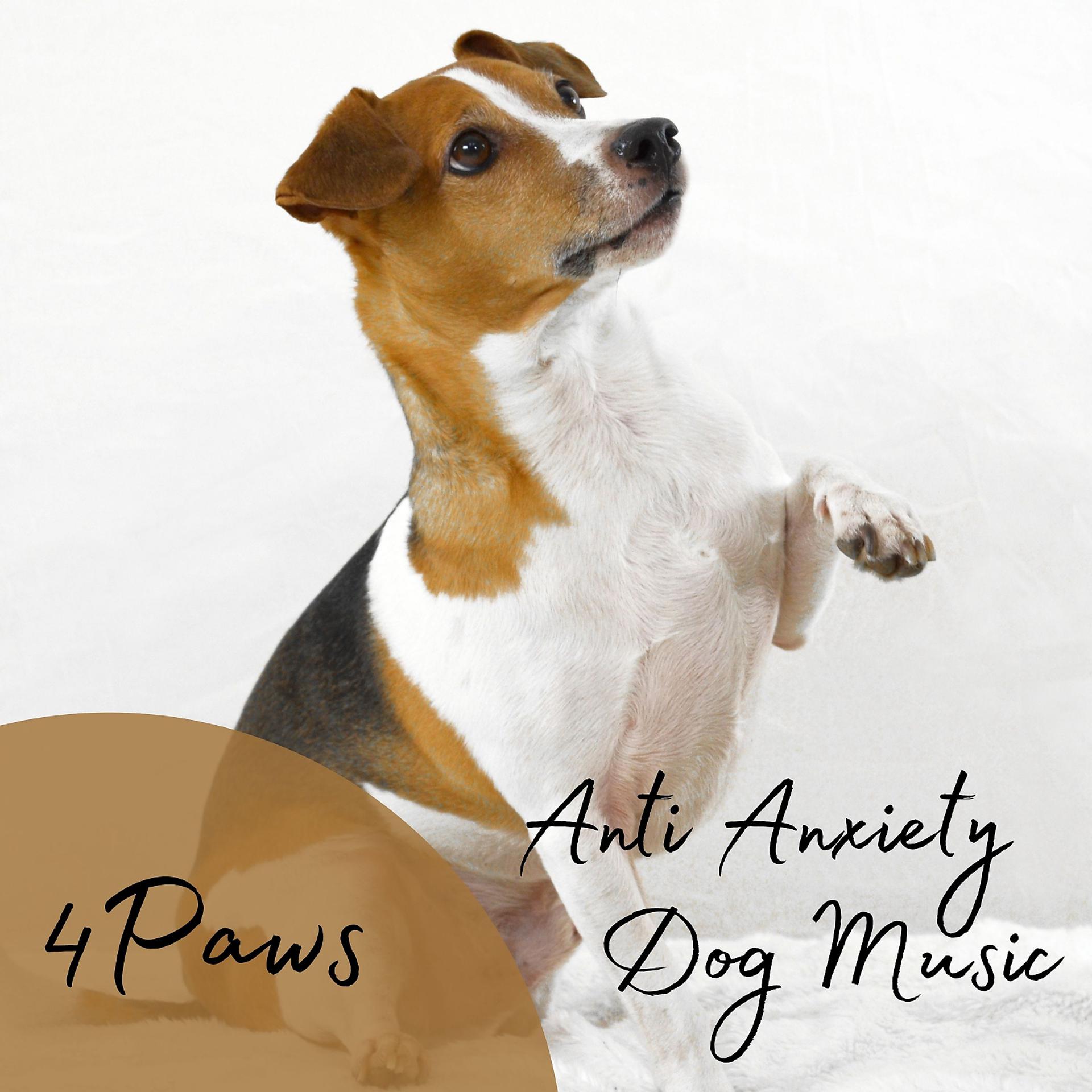 Постер альбома 4Paws: Anti Anxiety Dog Music