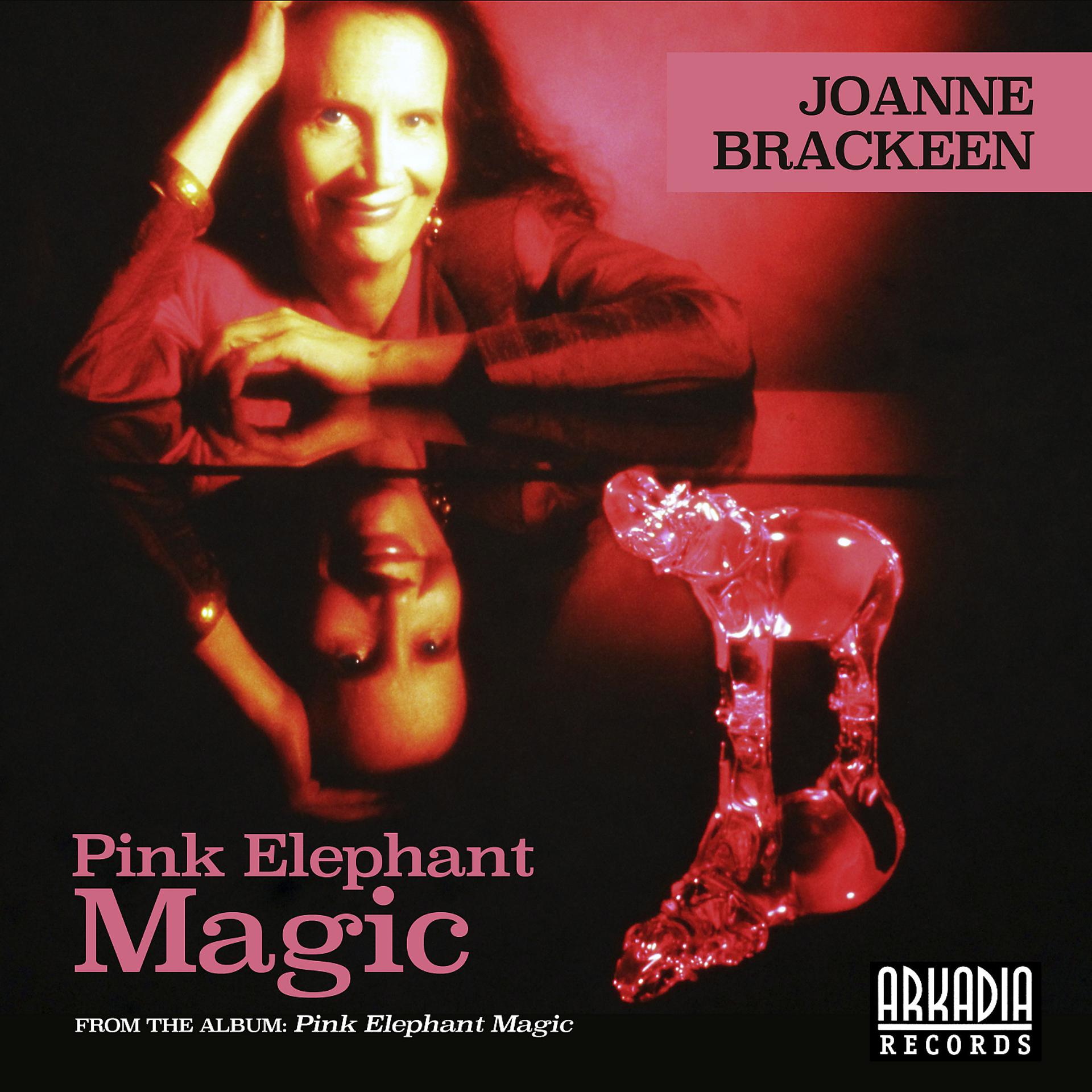 Постер альбома Pink Elephant Magic (feat. John Patitucci & Horacio El Negro Hernandez)