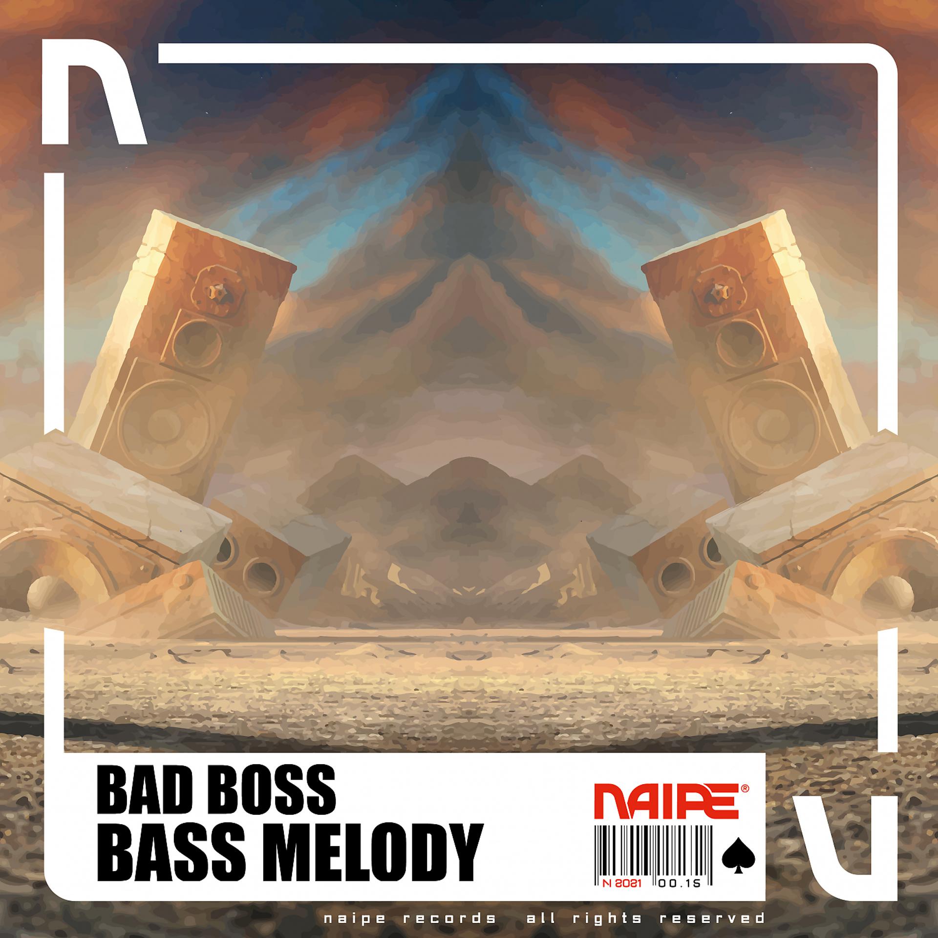 Постер альбома Bass Melody