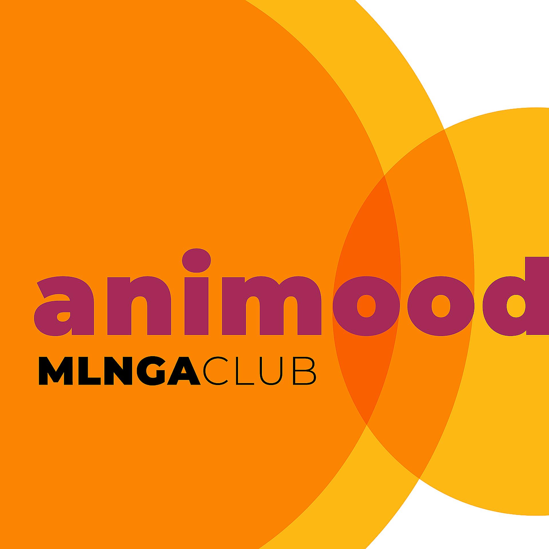 Постер альбома Animood