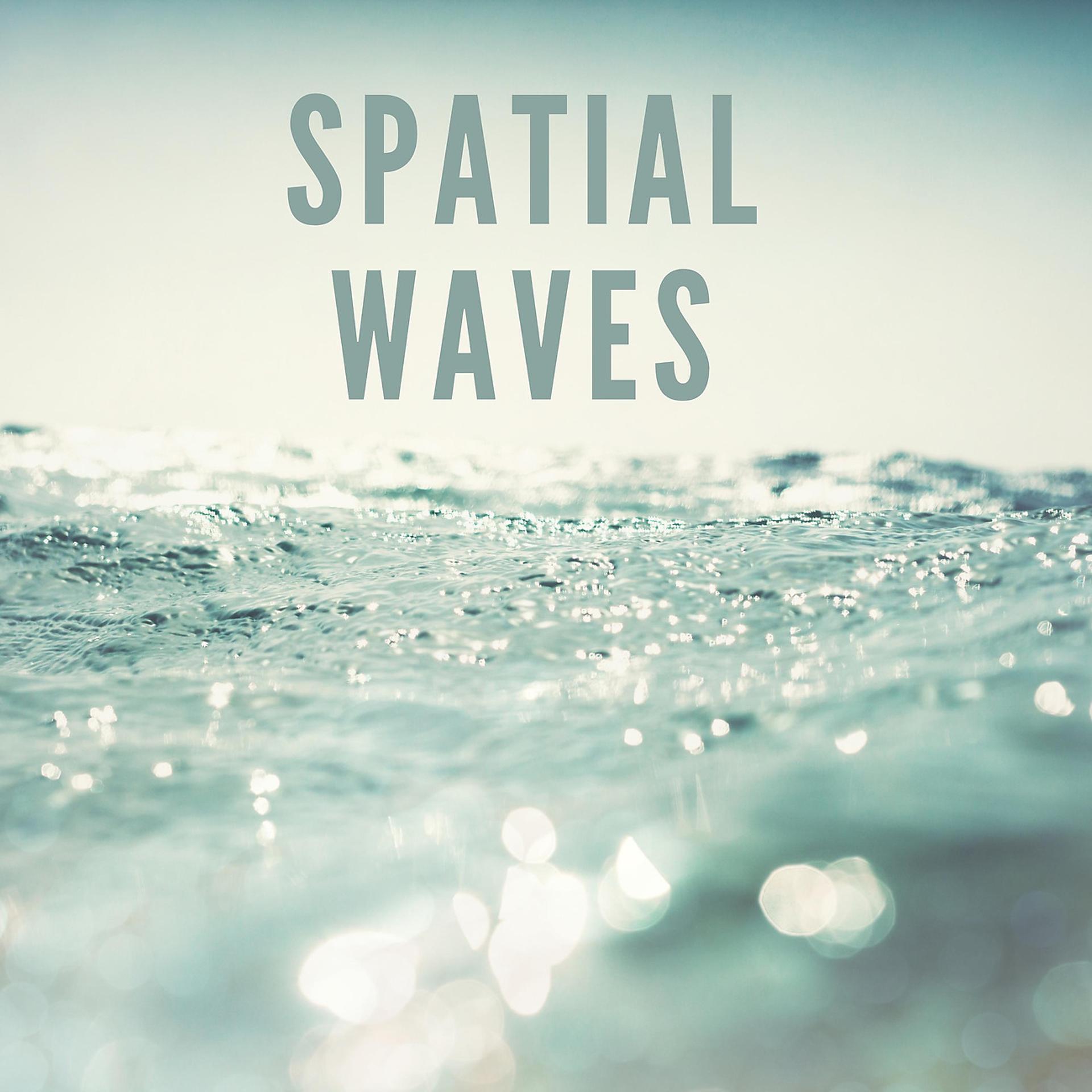Постер альбома Spatial Waves