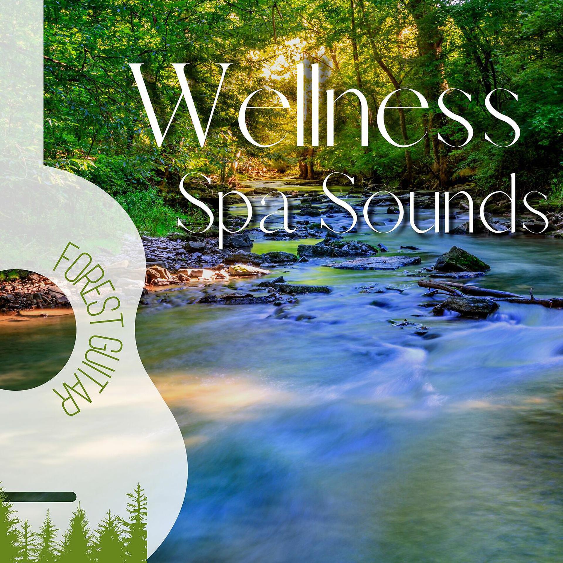 Постер альбома Wellness Spa Sounds (New Age Music)