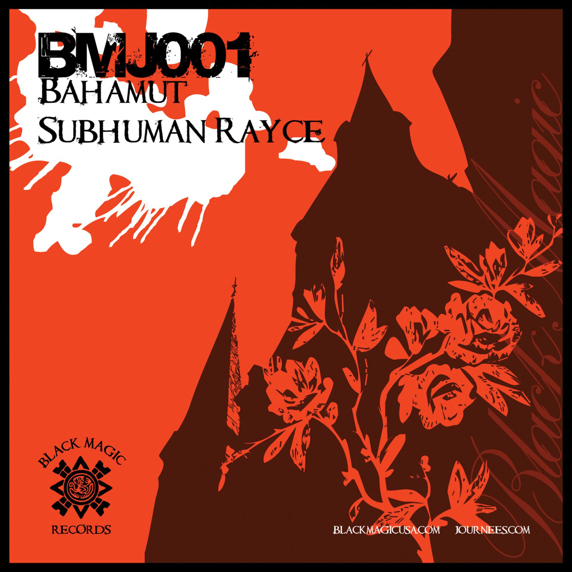 Постер альбома Subhuman Rayce