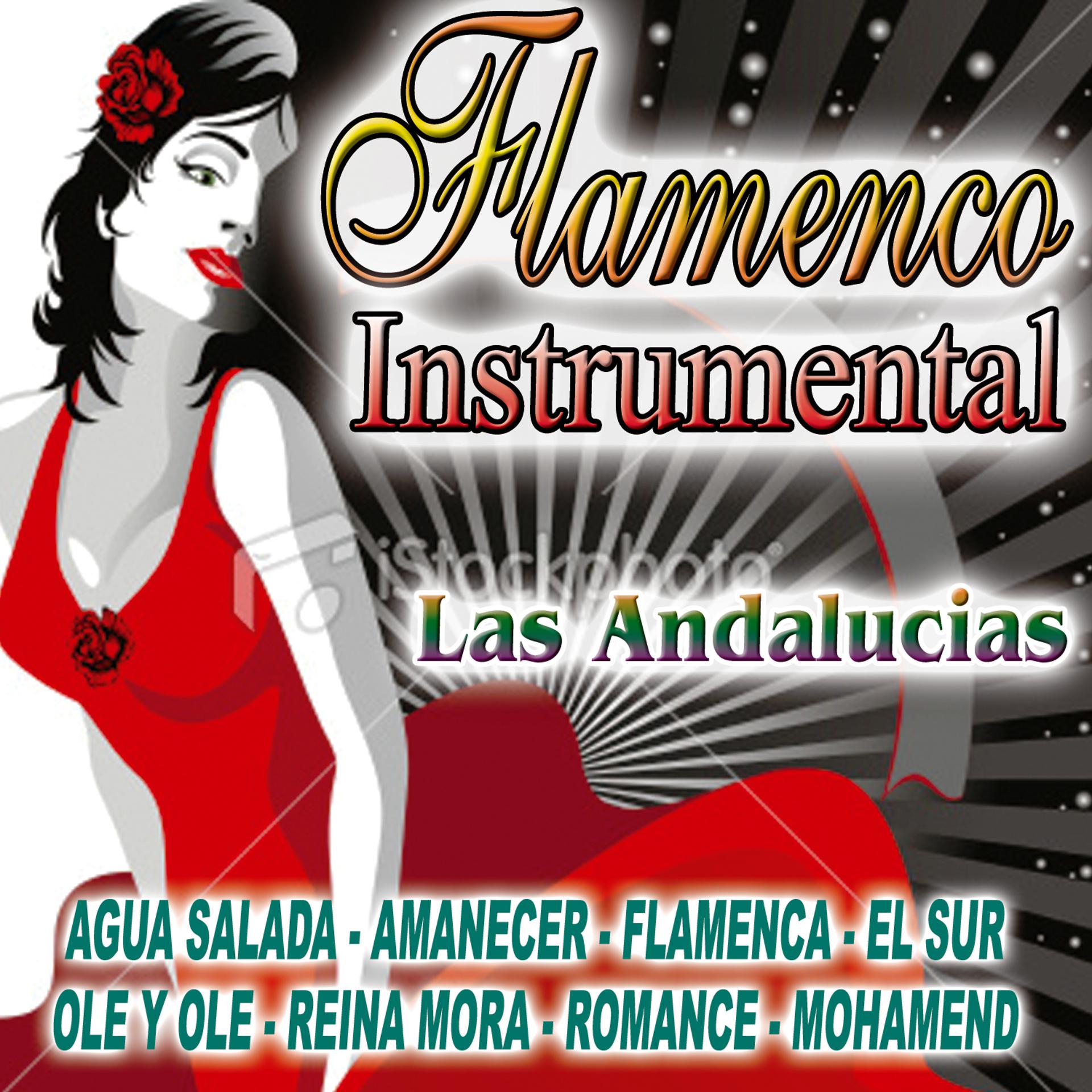 Постер альбома Flamenco Instrumental