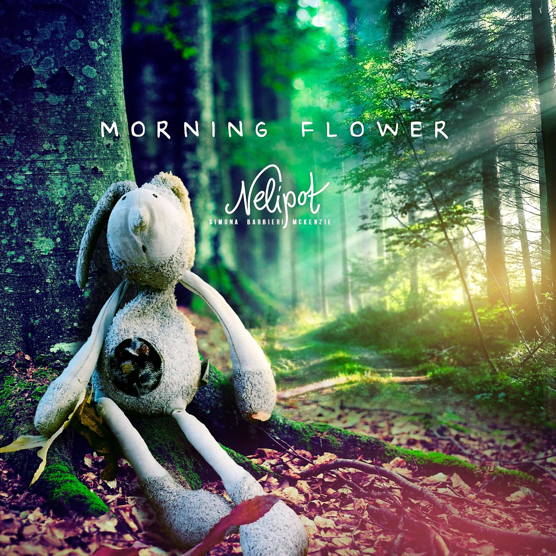 Постер альбома Morning Flower
