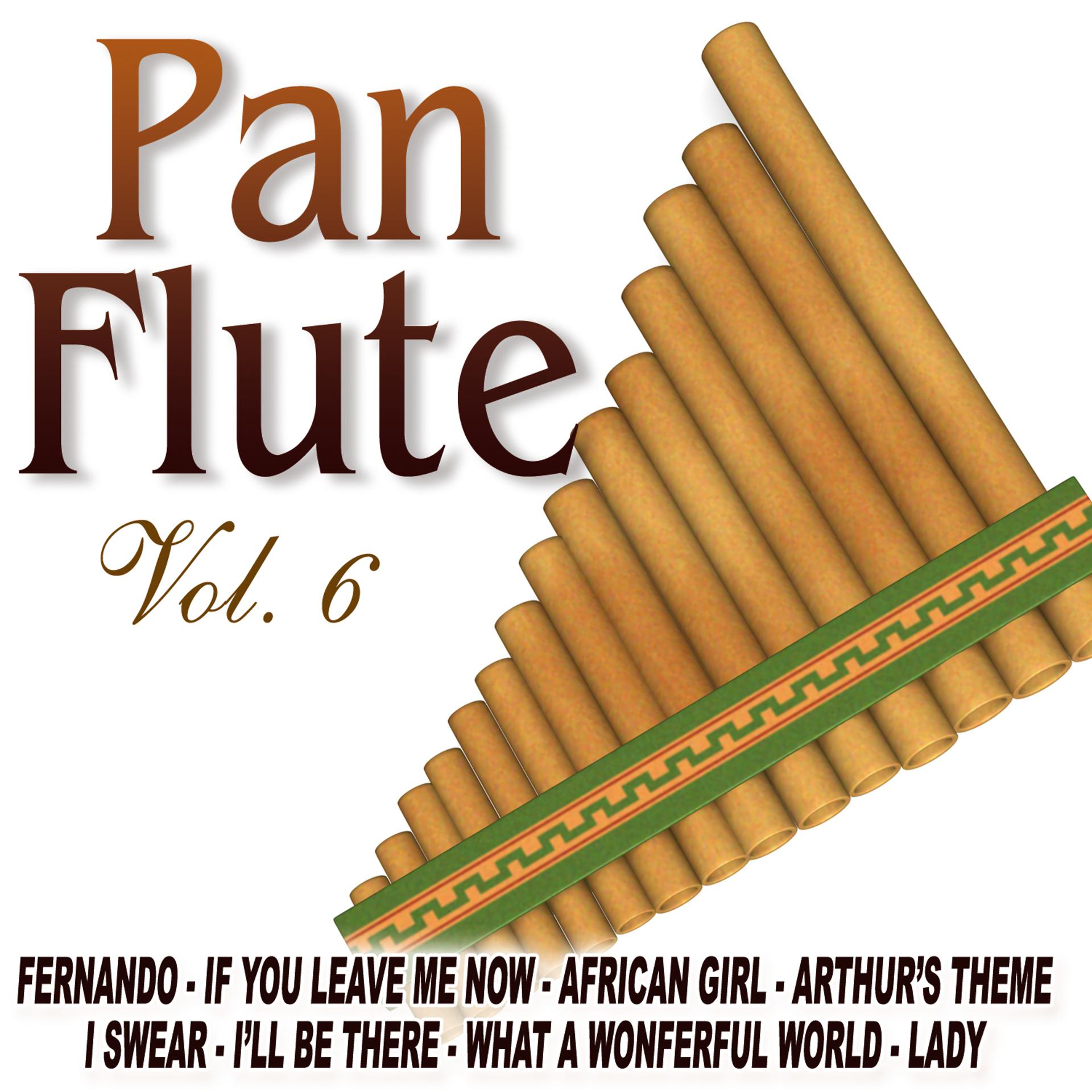 Постер альбома Pan Flute Vol.6
