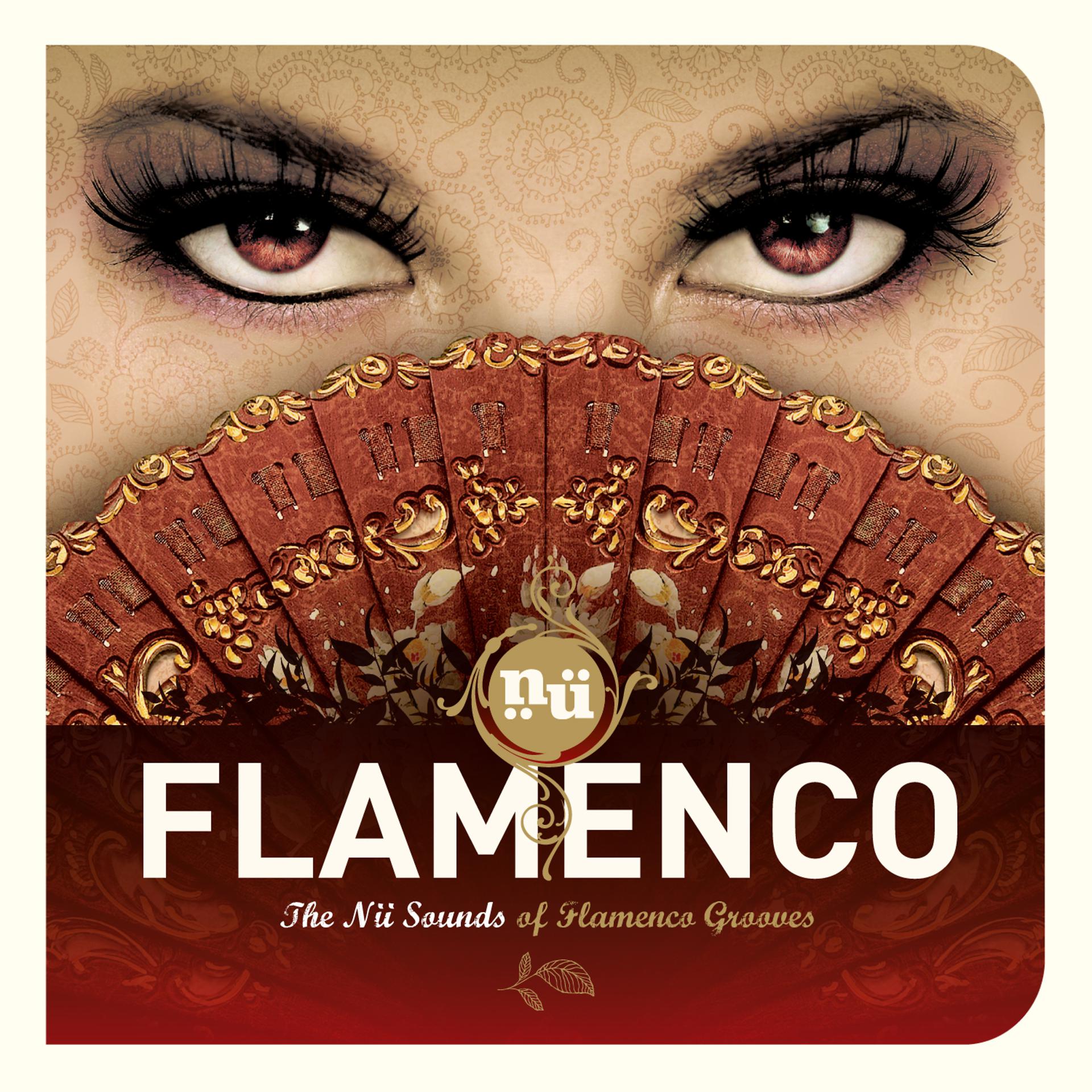 Постер альбома Nü Flamenco
