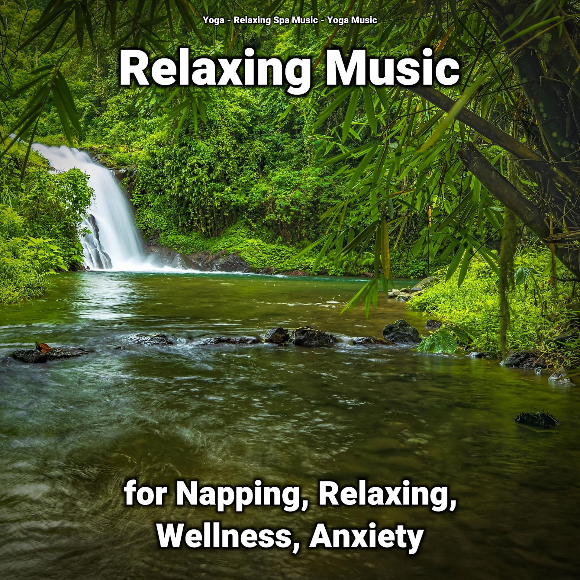 Постер альбома Relaxing Music for Napping, Relaxing, Wellness, Anxiety