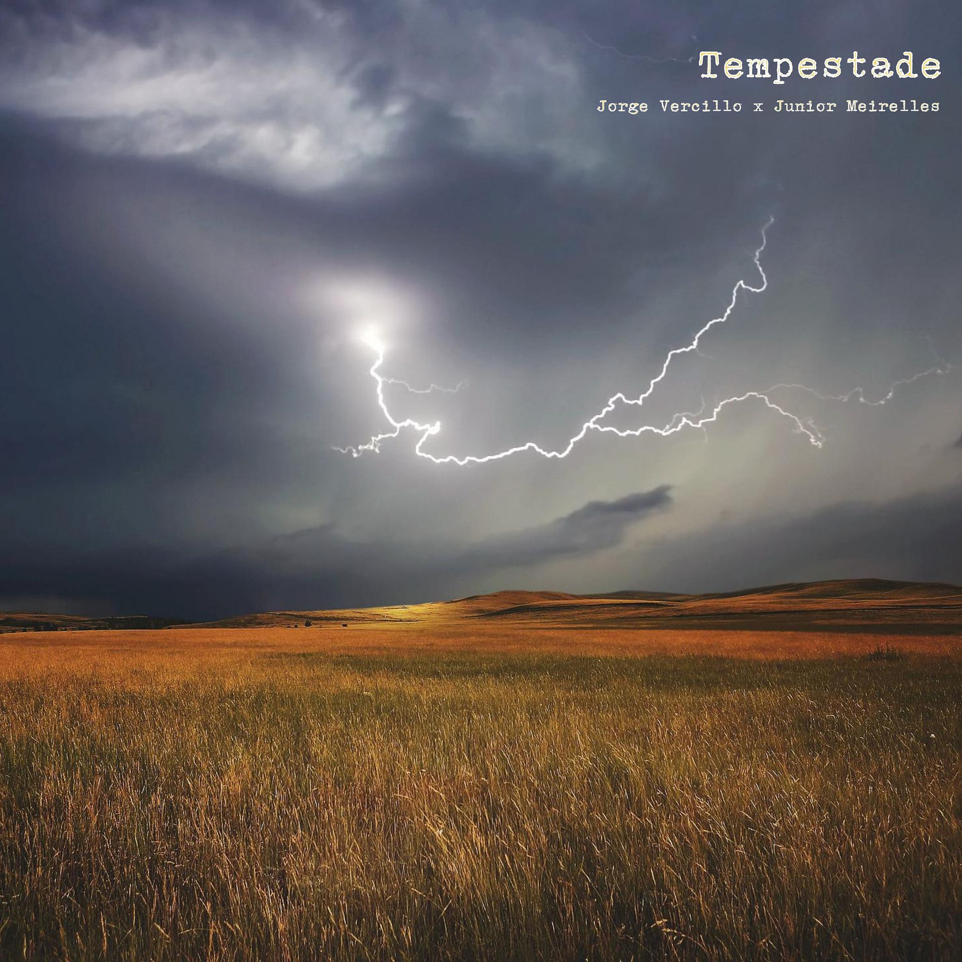 Постер альбома Tempestade