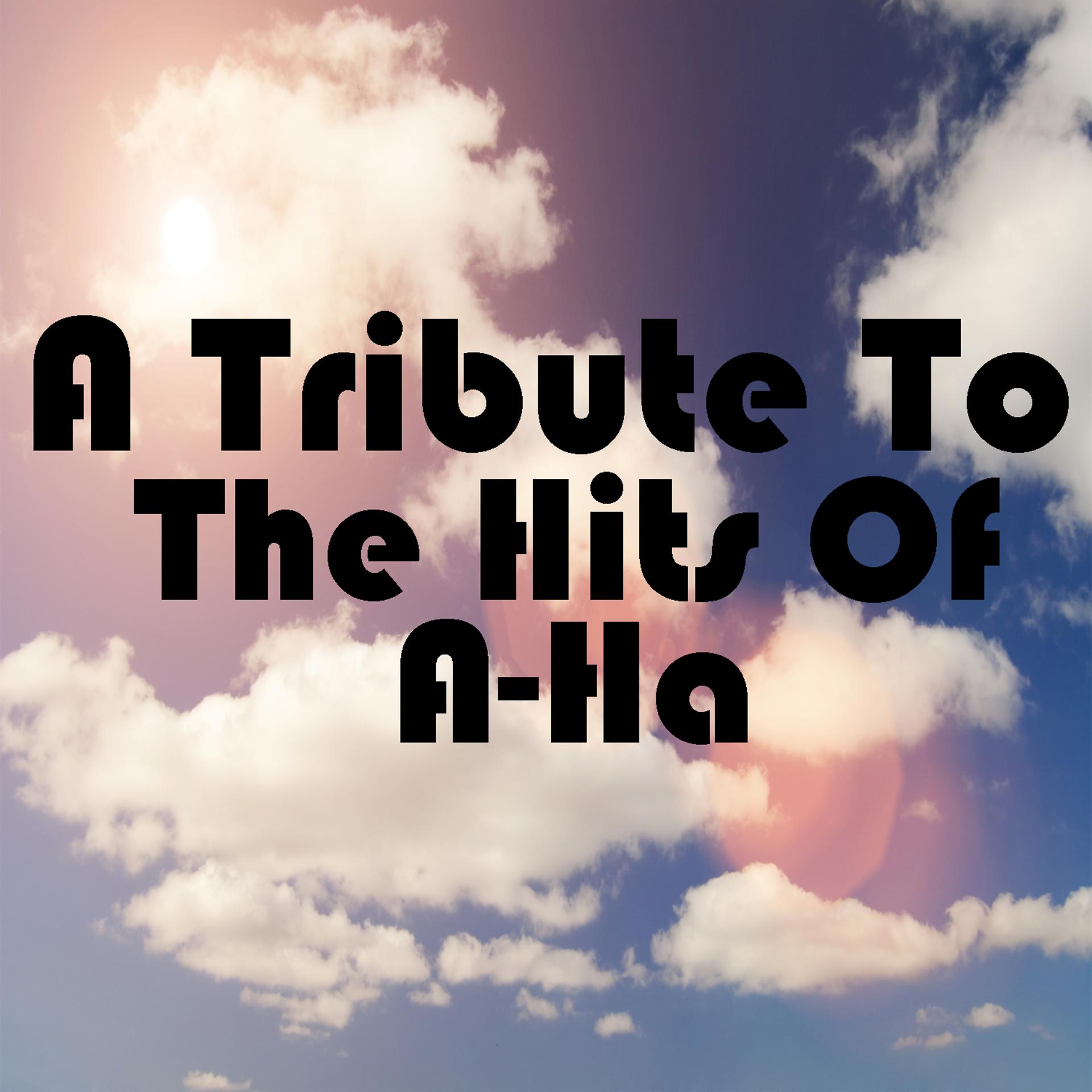Постер альбома A Tribute To The Hits Of A-Ha