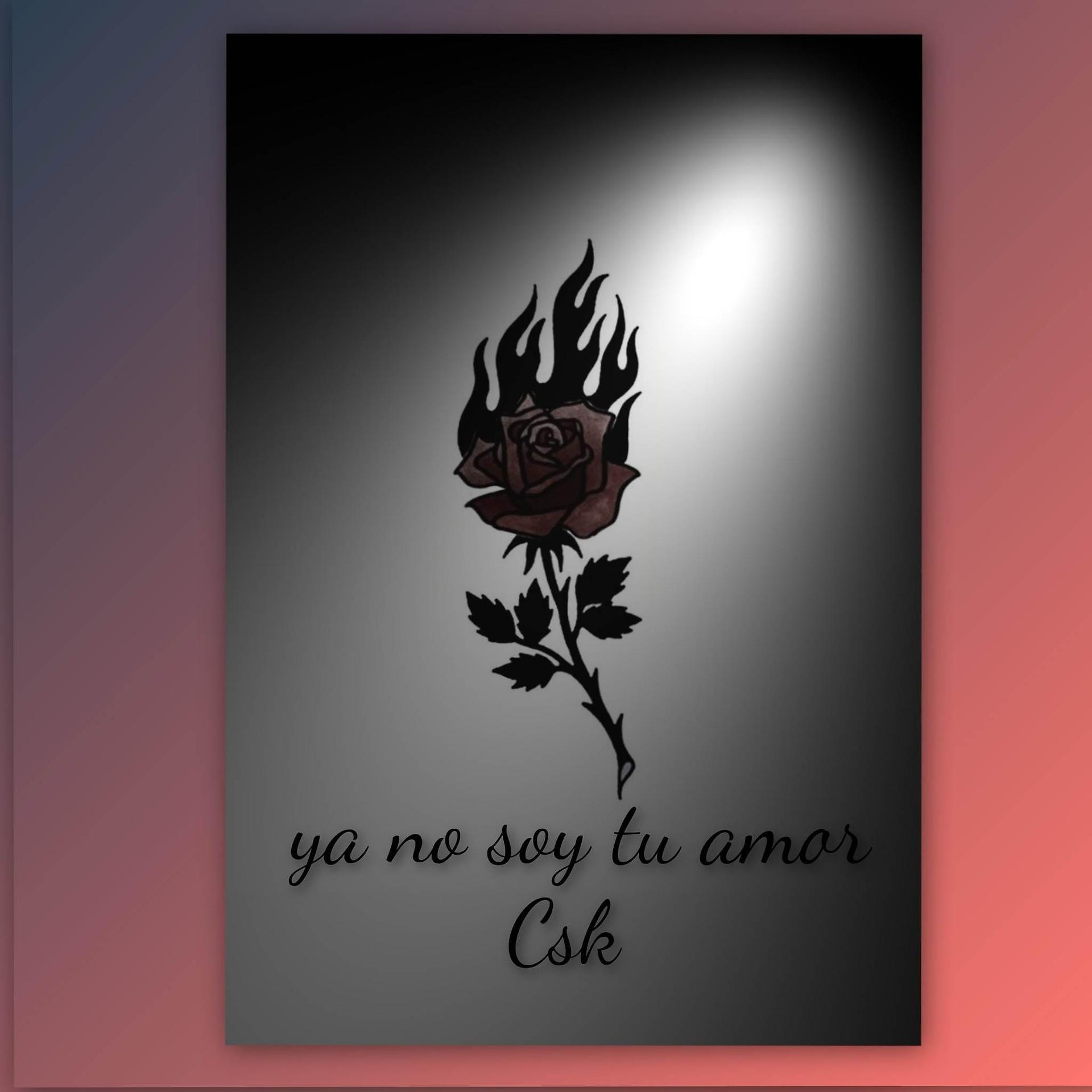 Постер альбома Ya No Soy Tu Amor