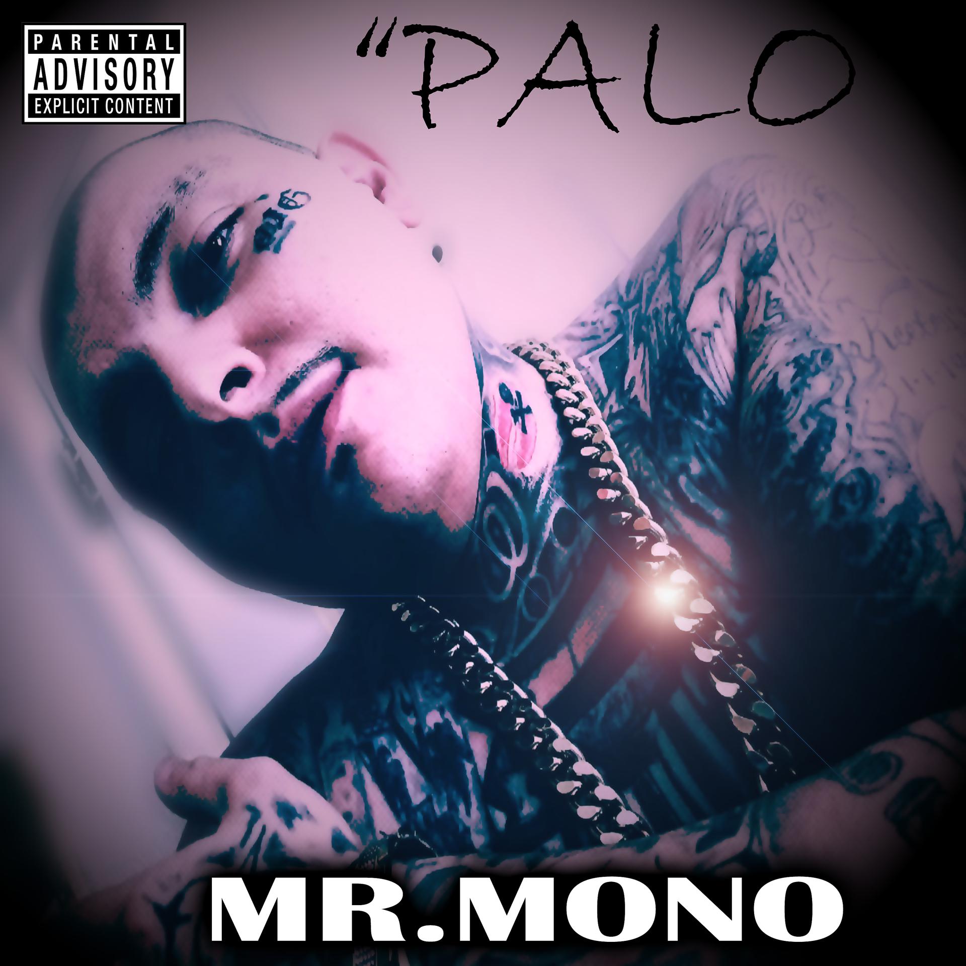 Постер альбома Palo